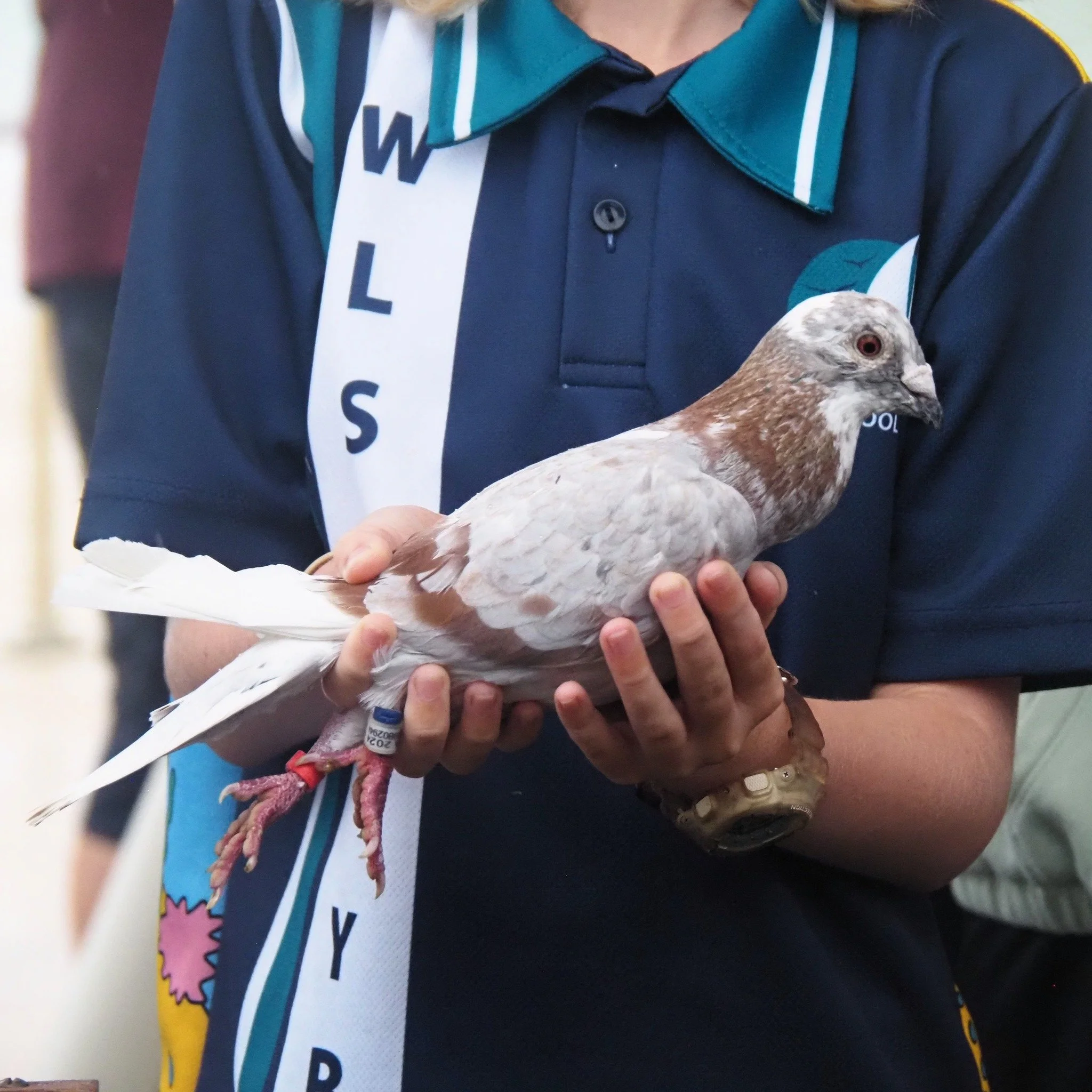 animalmemorialservice38.jpg