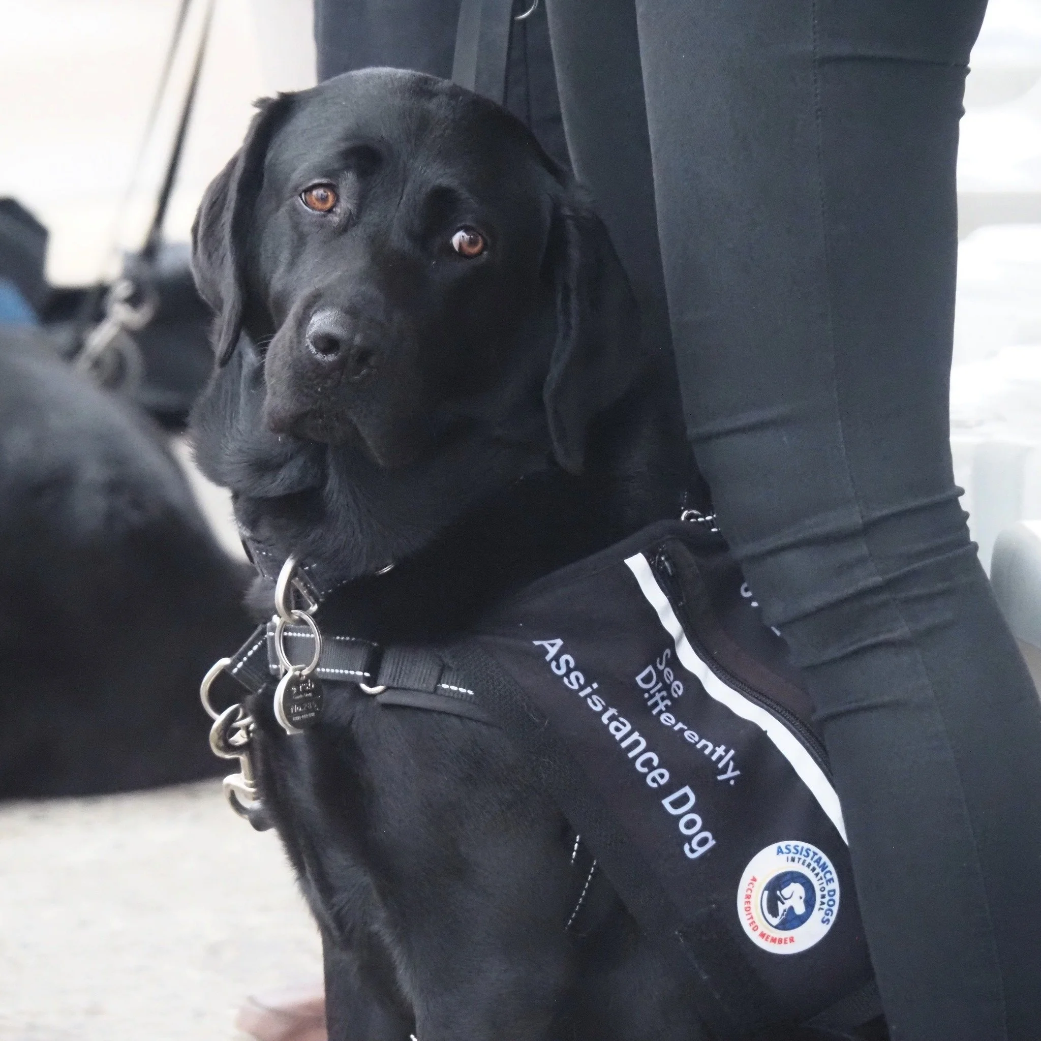 animalmemorialservice36.jpg