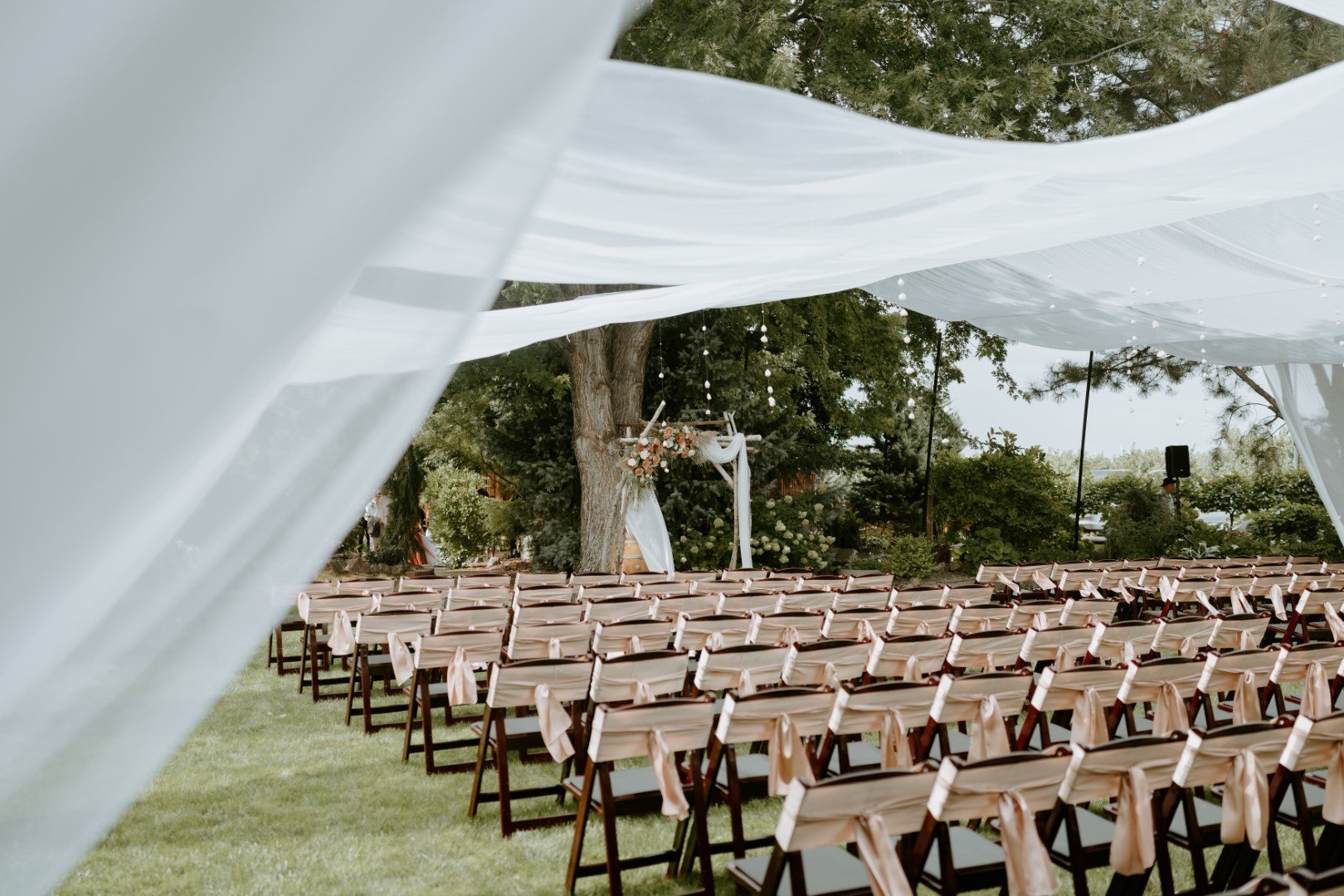 IMG_5943 (Large).jpeg