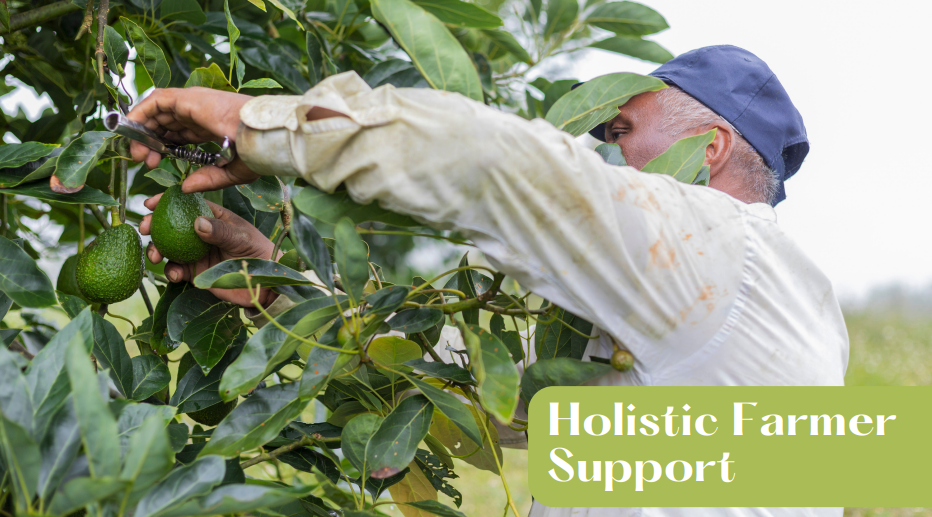 Each farmer in the program receives specialized supports to ensure they are not financially vulnerable to unexpected events. 