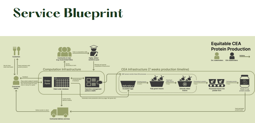 The flow of the entire insect production system, from consumer to producer.