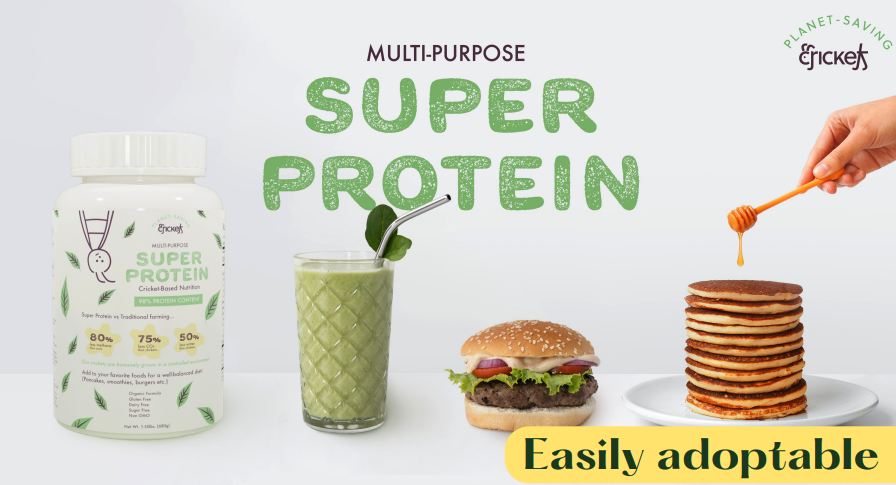 Insect proteins must be available in a variety of forms (e.g. powders, burgers, mixes) in order to gain wider acceptance.