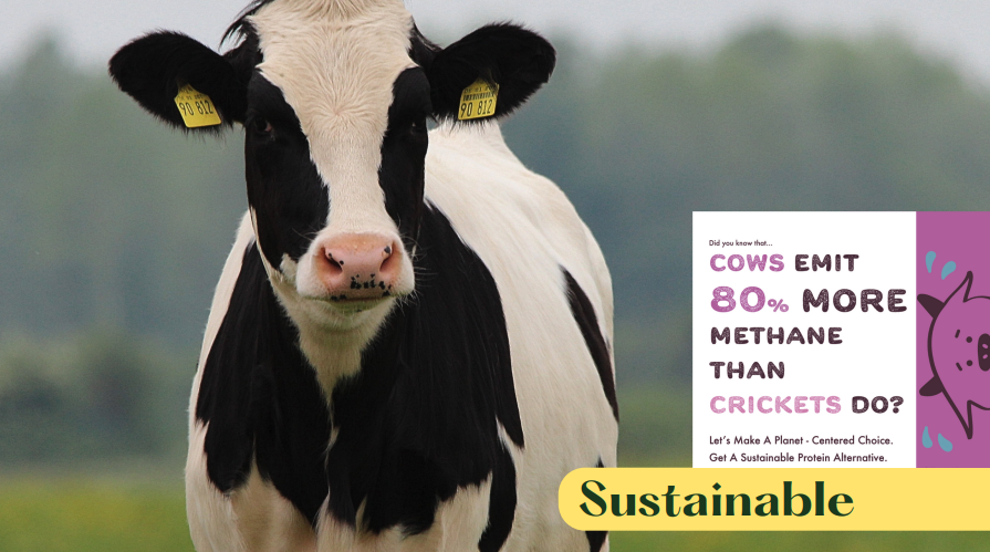 The carbon emissions of insect production are far less than current cow, pig and poultry production; in addition, insects use much less water and produce less waste.