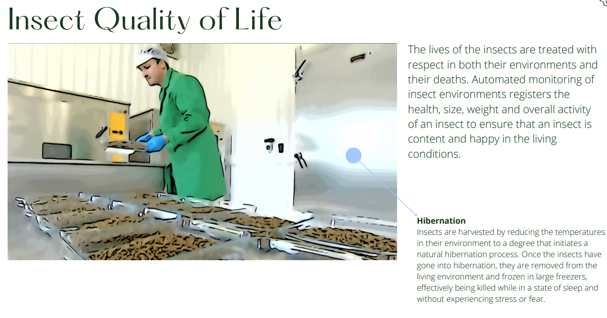 This system prioritizes humane insect processing, reducing unnecessary suffering.