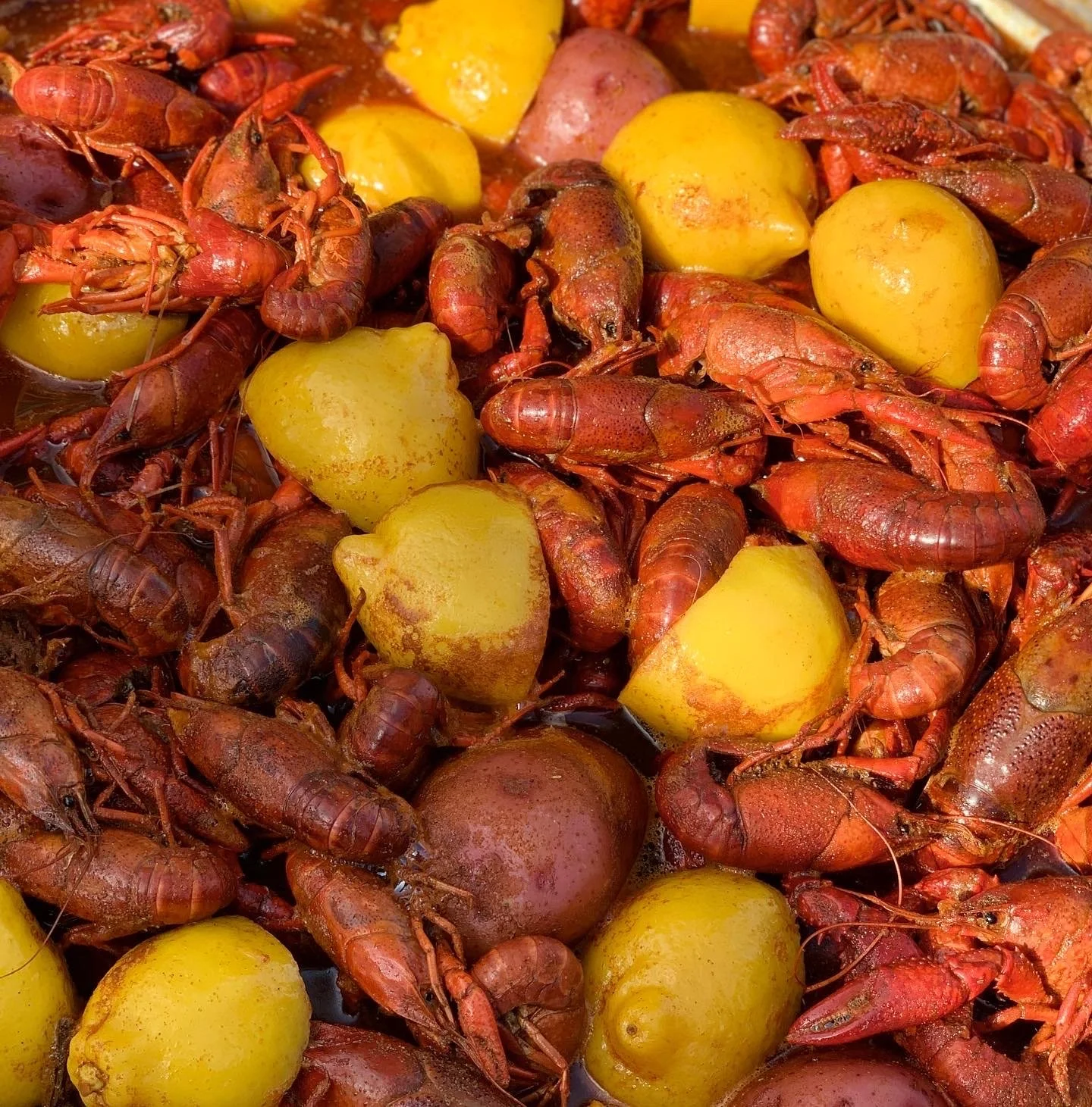 09CE12A6-8586-4A93-8765-1287B331B729 2.JPG