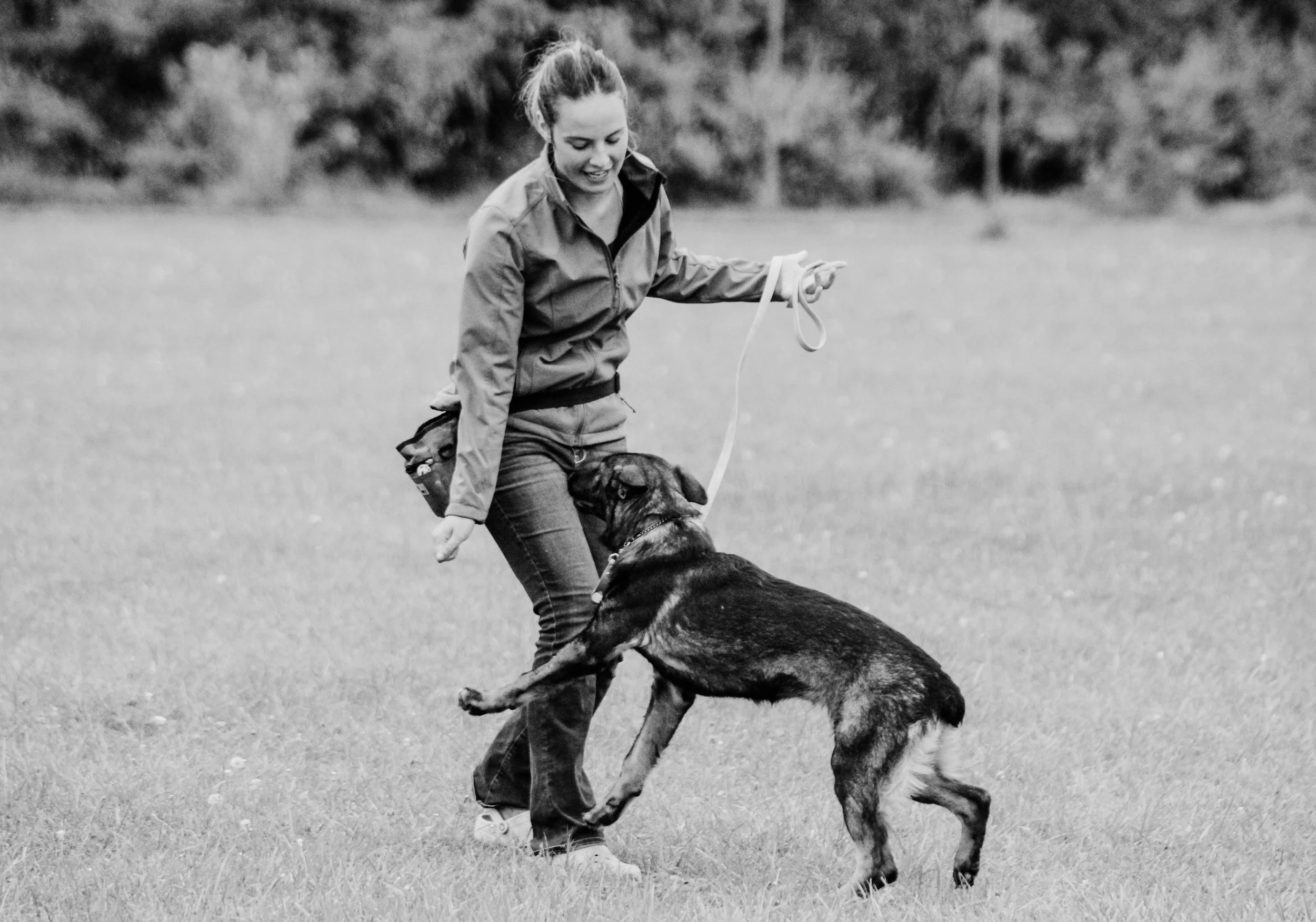 unleashed-dog-training