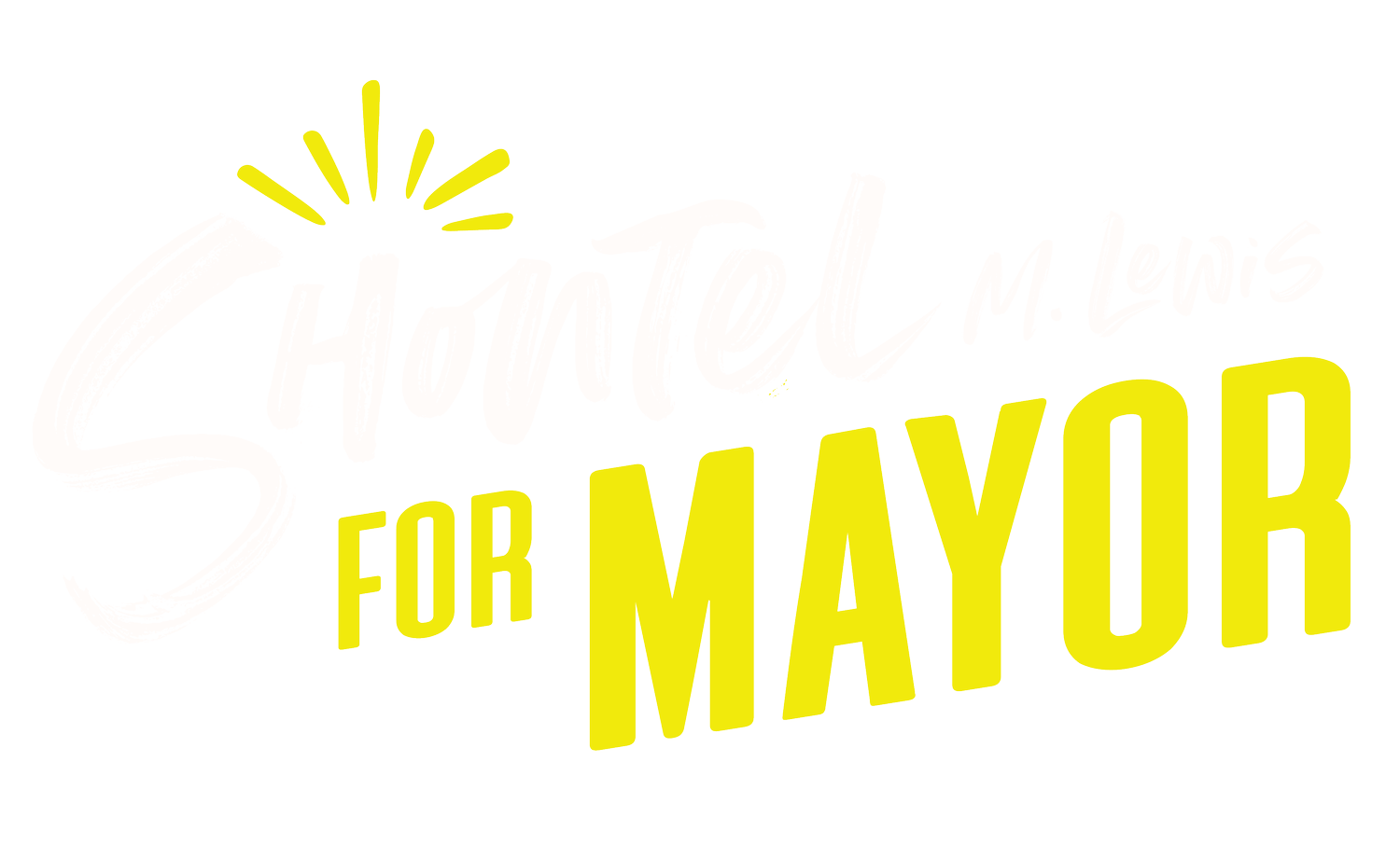 Shontel Lewis for Denver City Council District 8