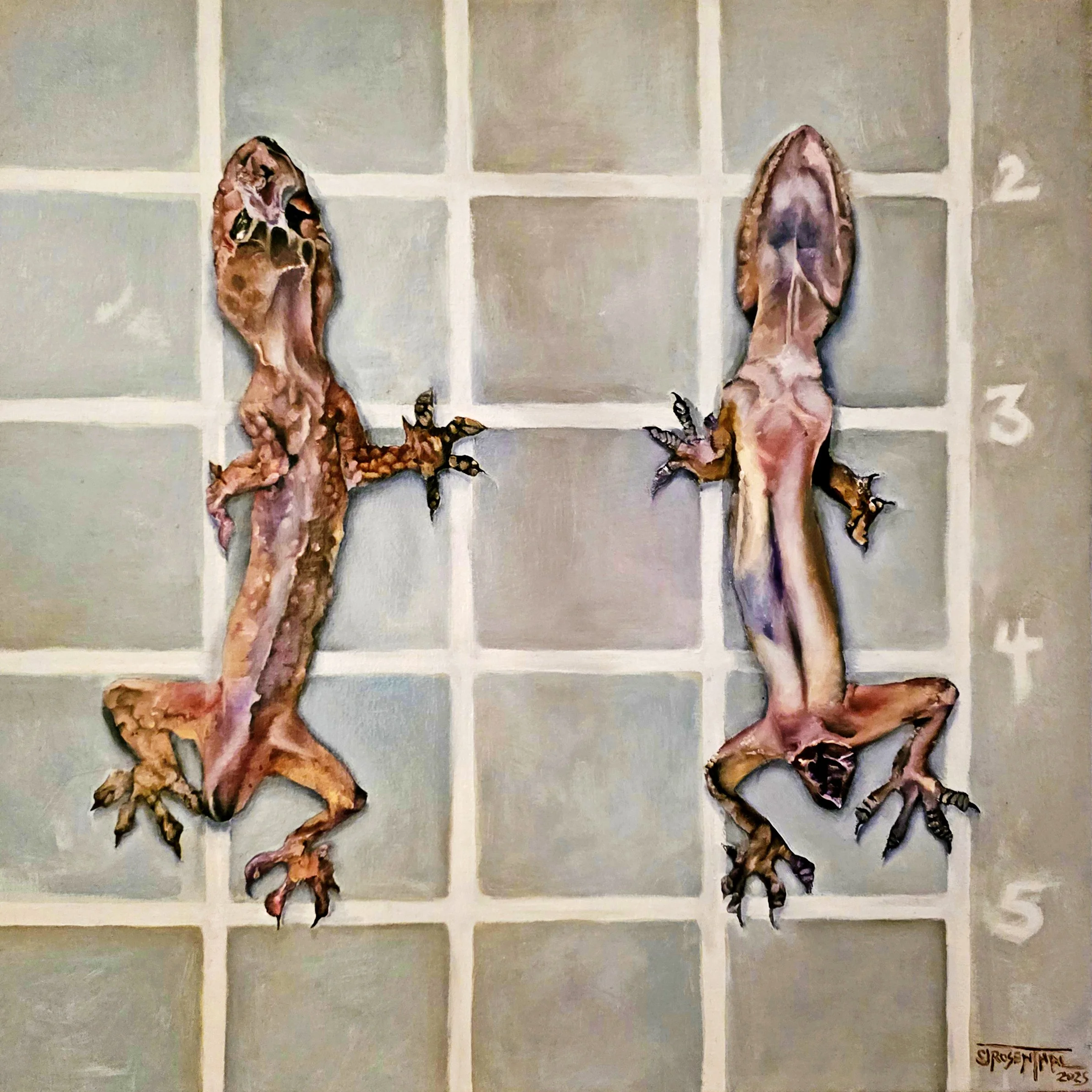Ex-Gecko, 2025, oil on canvas, 24"x24"