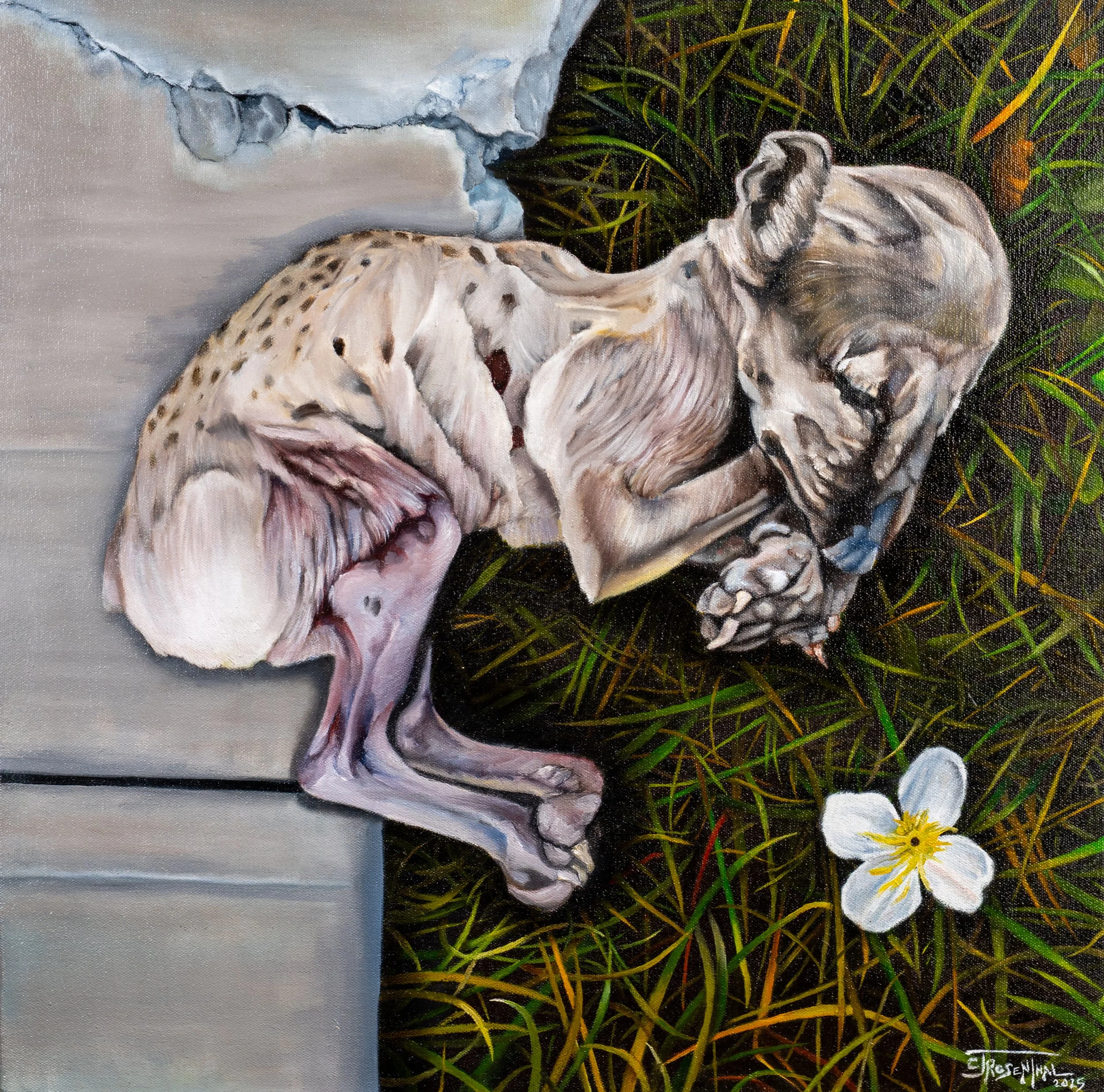 Little Fox, 2025, oil on canvas, 20"x20"