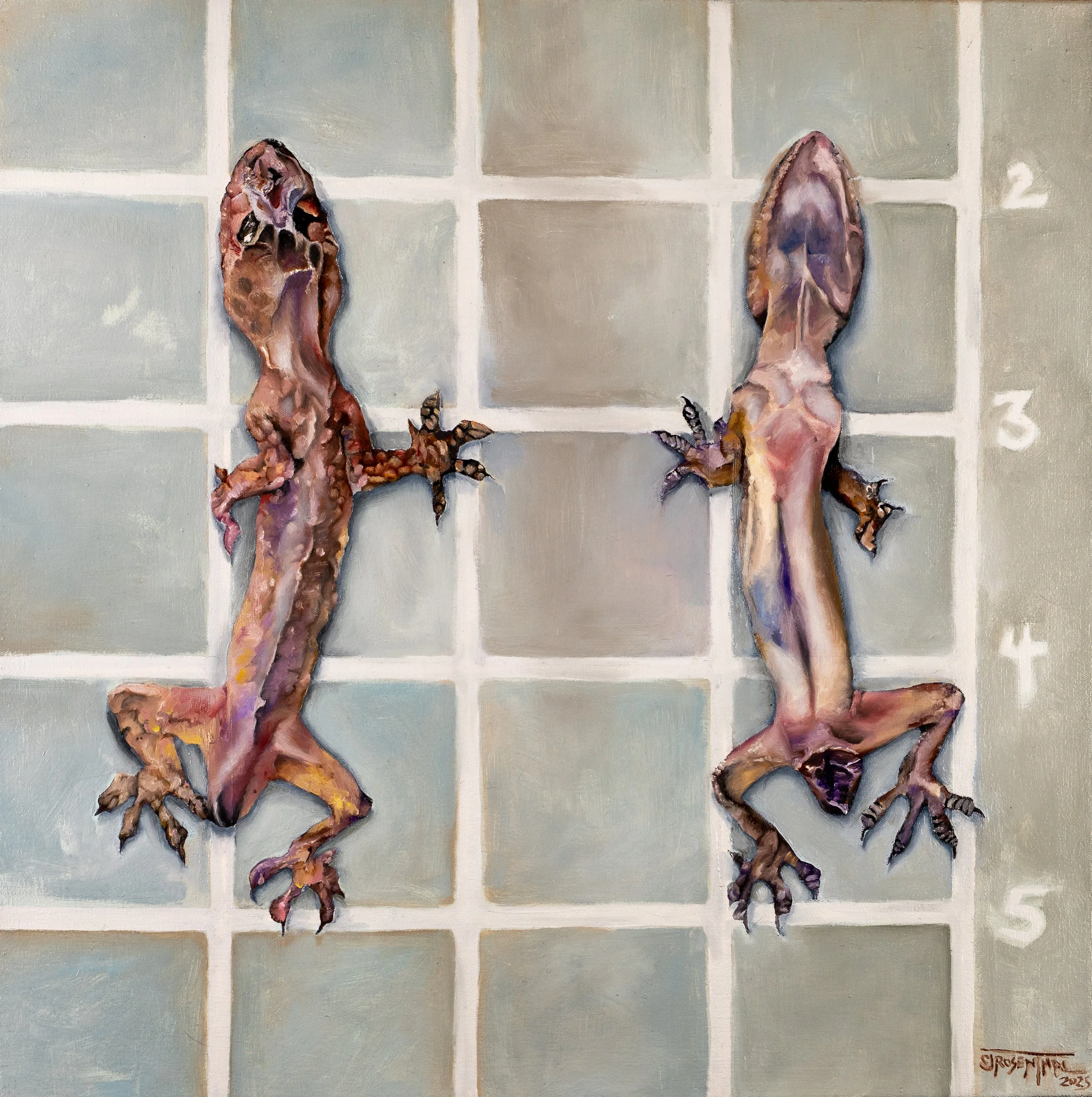 Ex-Gecko, 2025, oil on canvas, 24"x24"