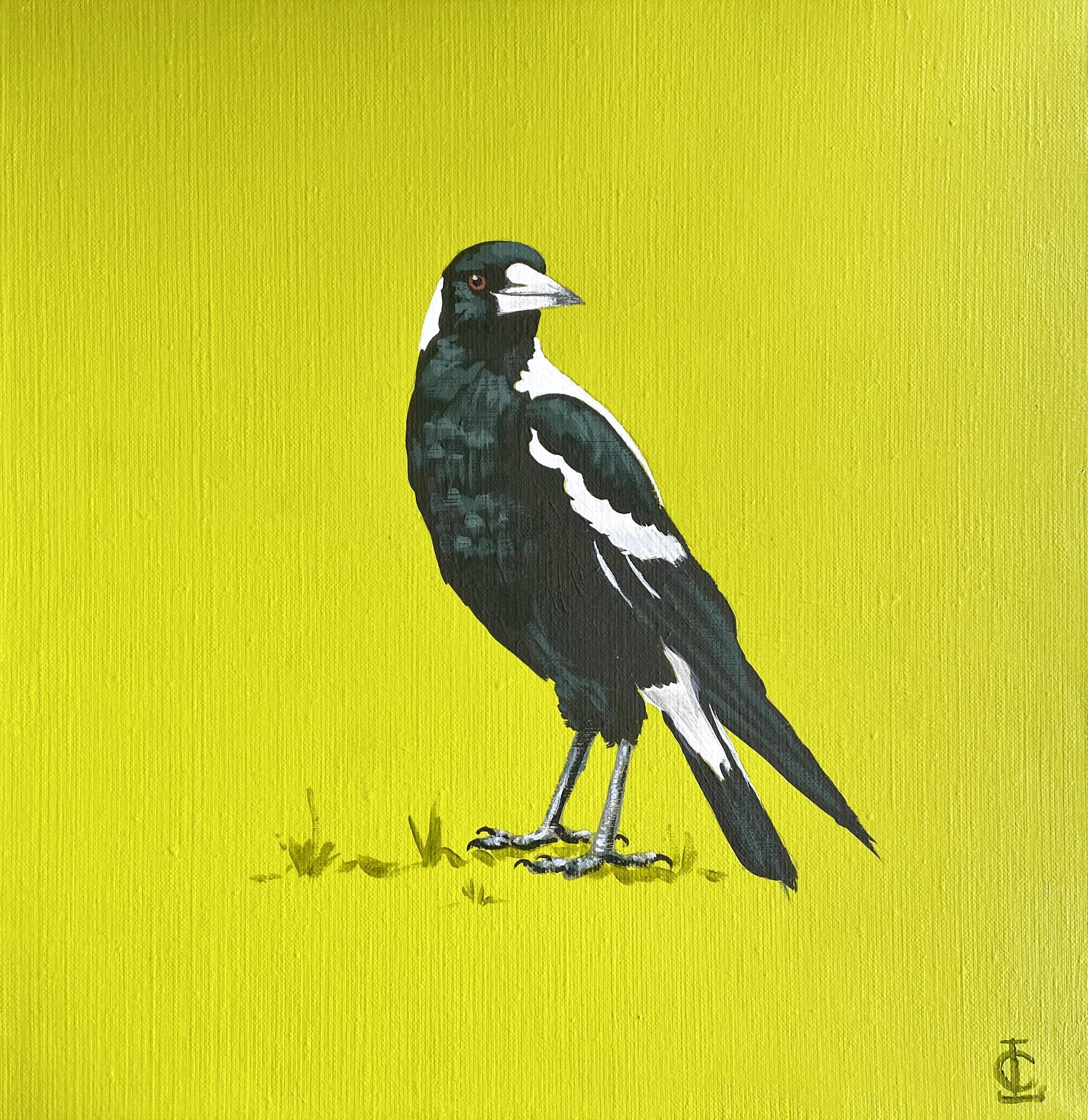 green magpie square.jpg