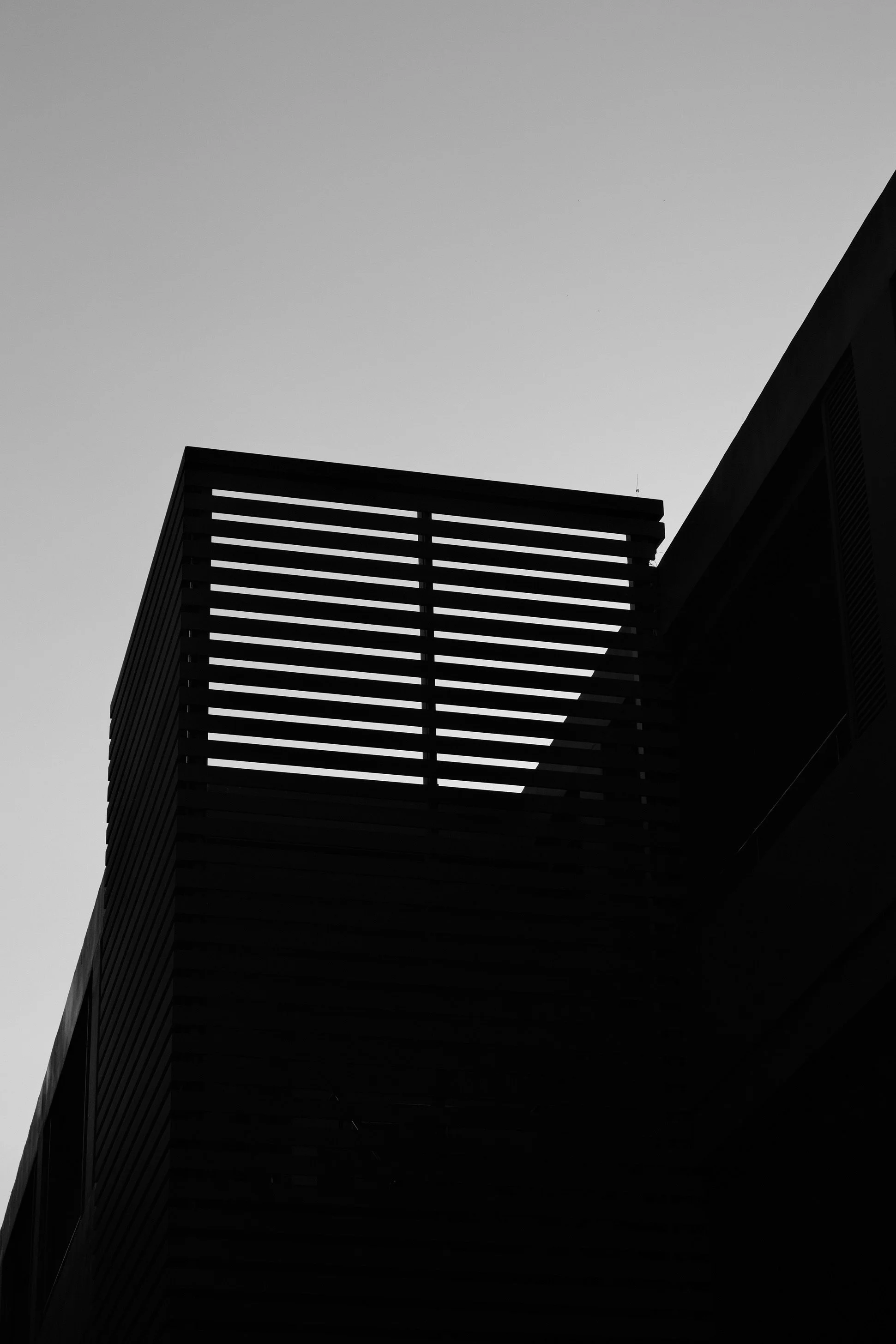 The Animus Module 4: The Shadow Animus