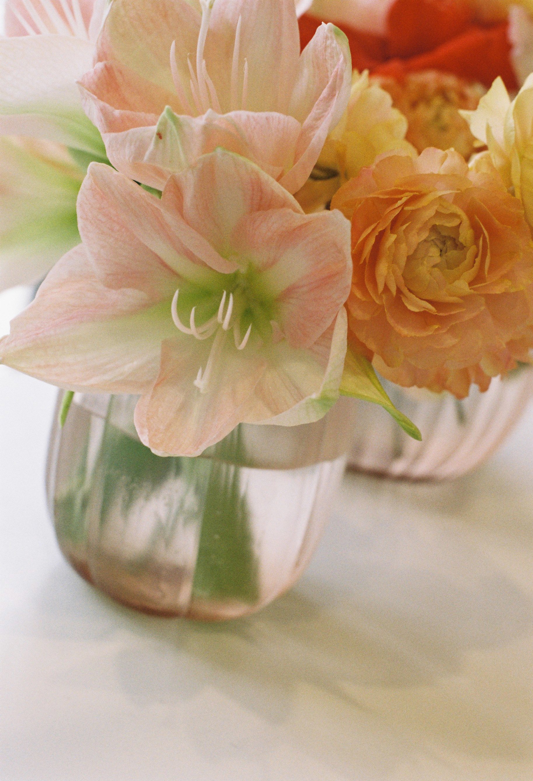 Vase Collection : GUAXS Lalibela