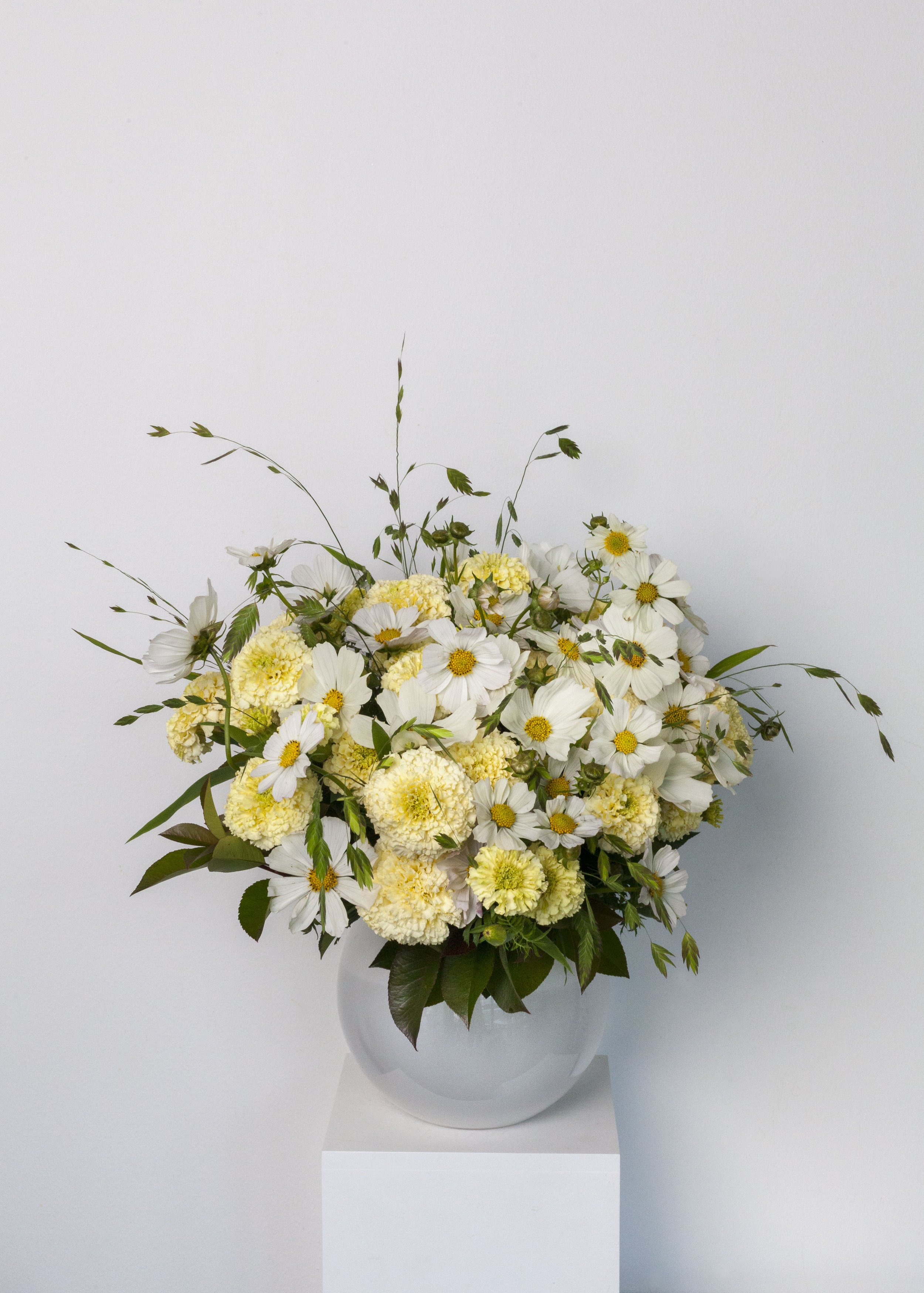 in_vase.jpg