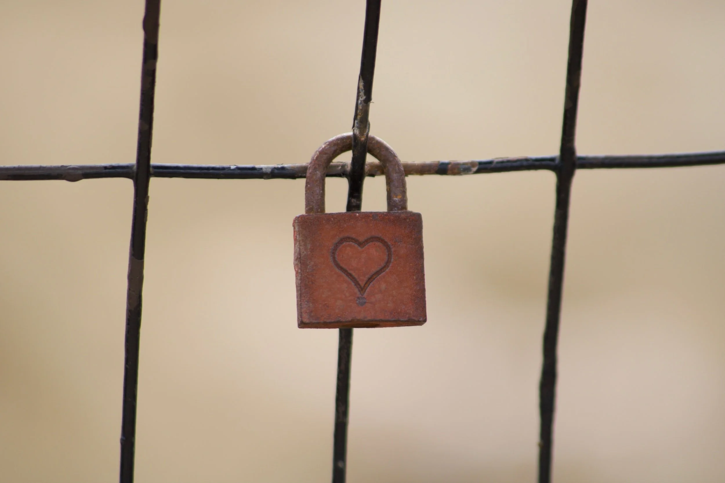 unsplash-image-tn85IH-sbhw.jpg