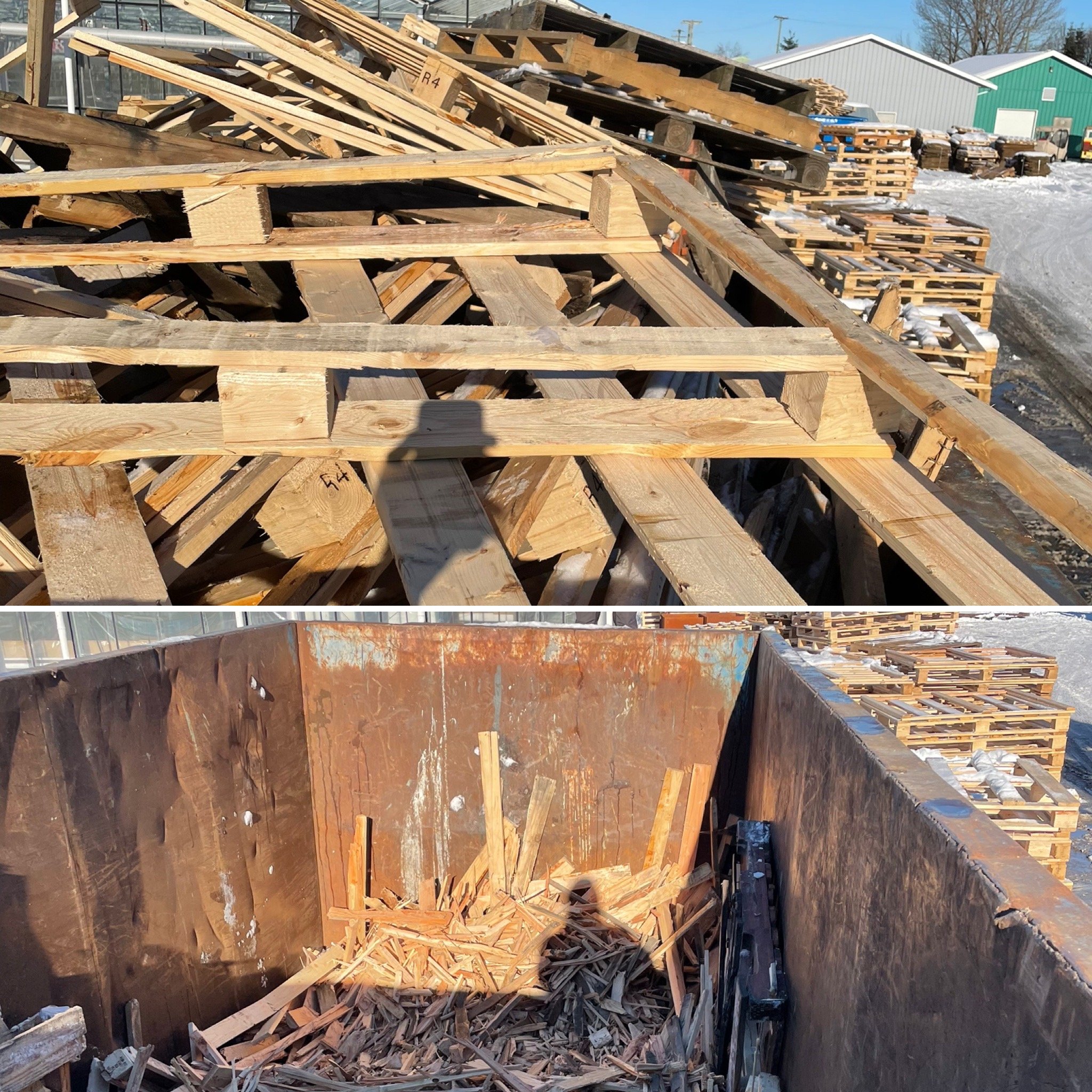 Selecting Your Business Dumpster Compactor — Bin Masters