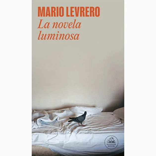 la-novela-luminosa_M-Levrero.jpg