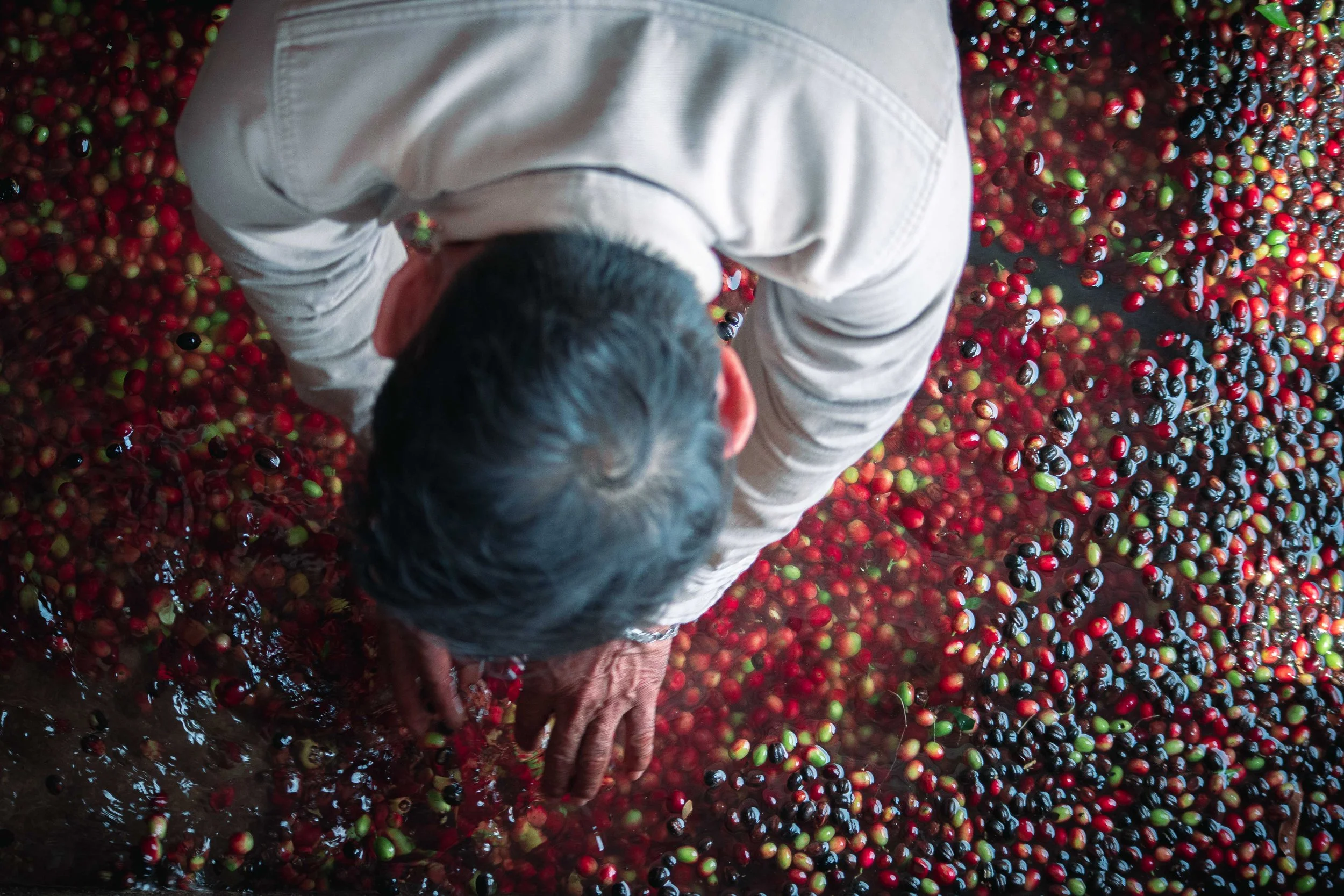 spaziergang (2 von 11).jpg