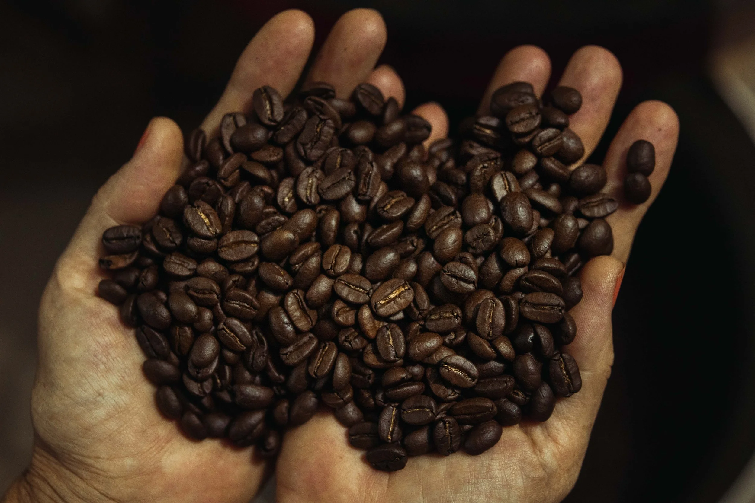 spaziergang (9 von 11).jpg