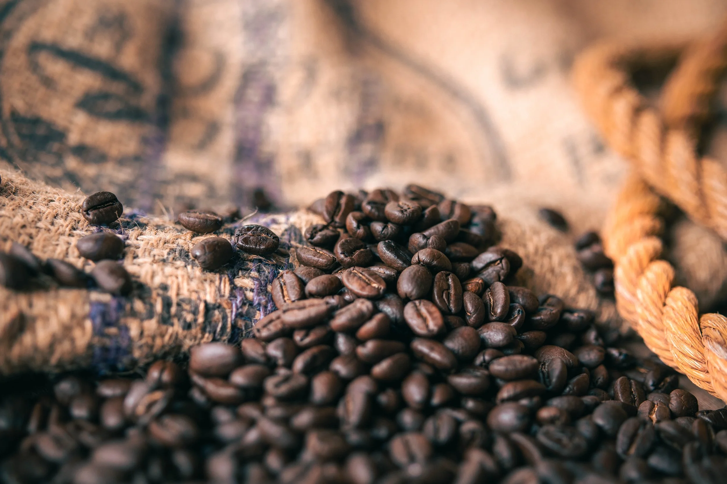 spaziergang (11 von 11).jpg