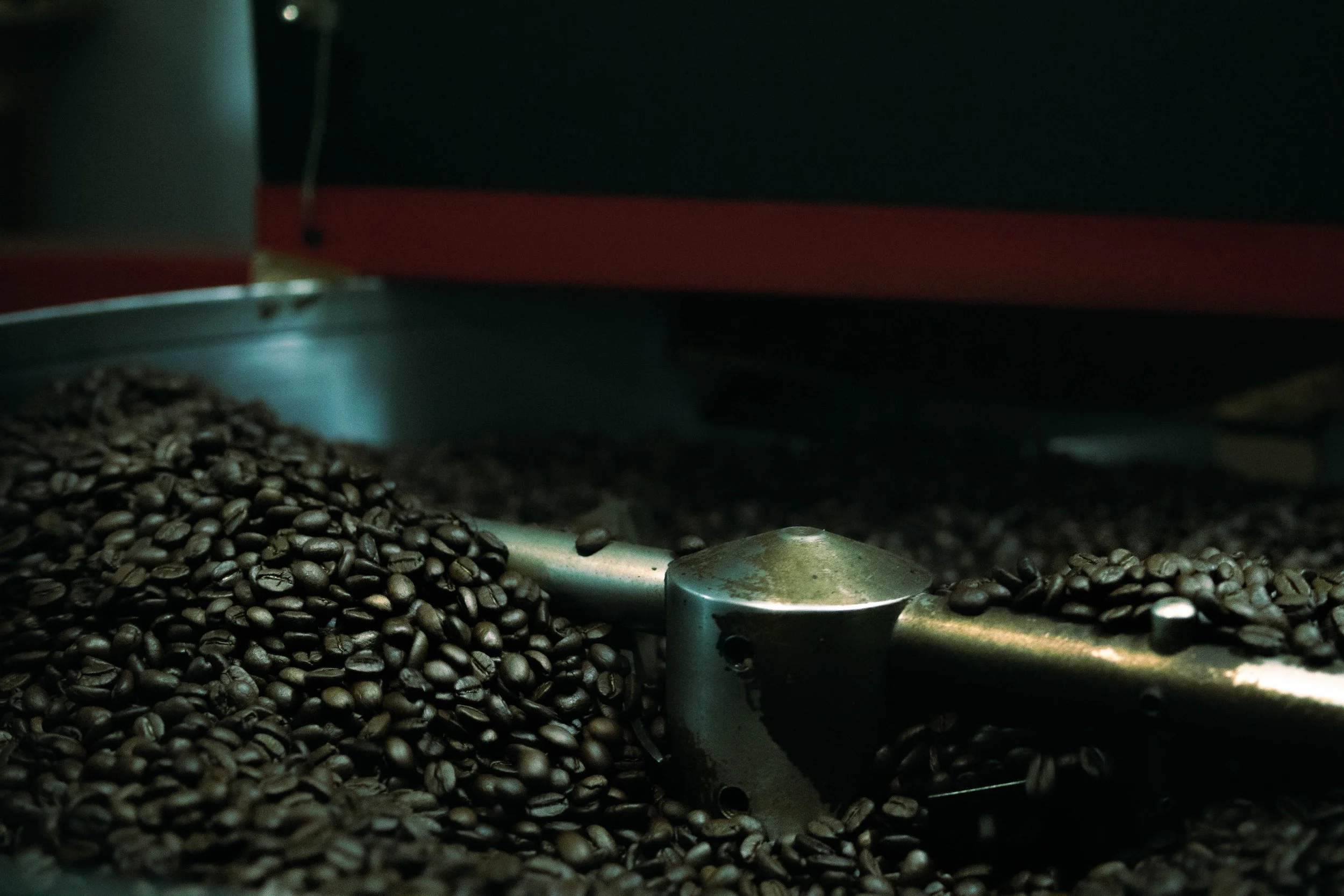 spaziergang (8 von 11).jpg