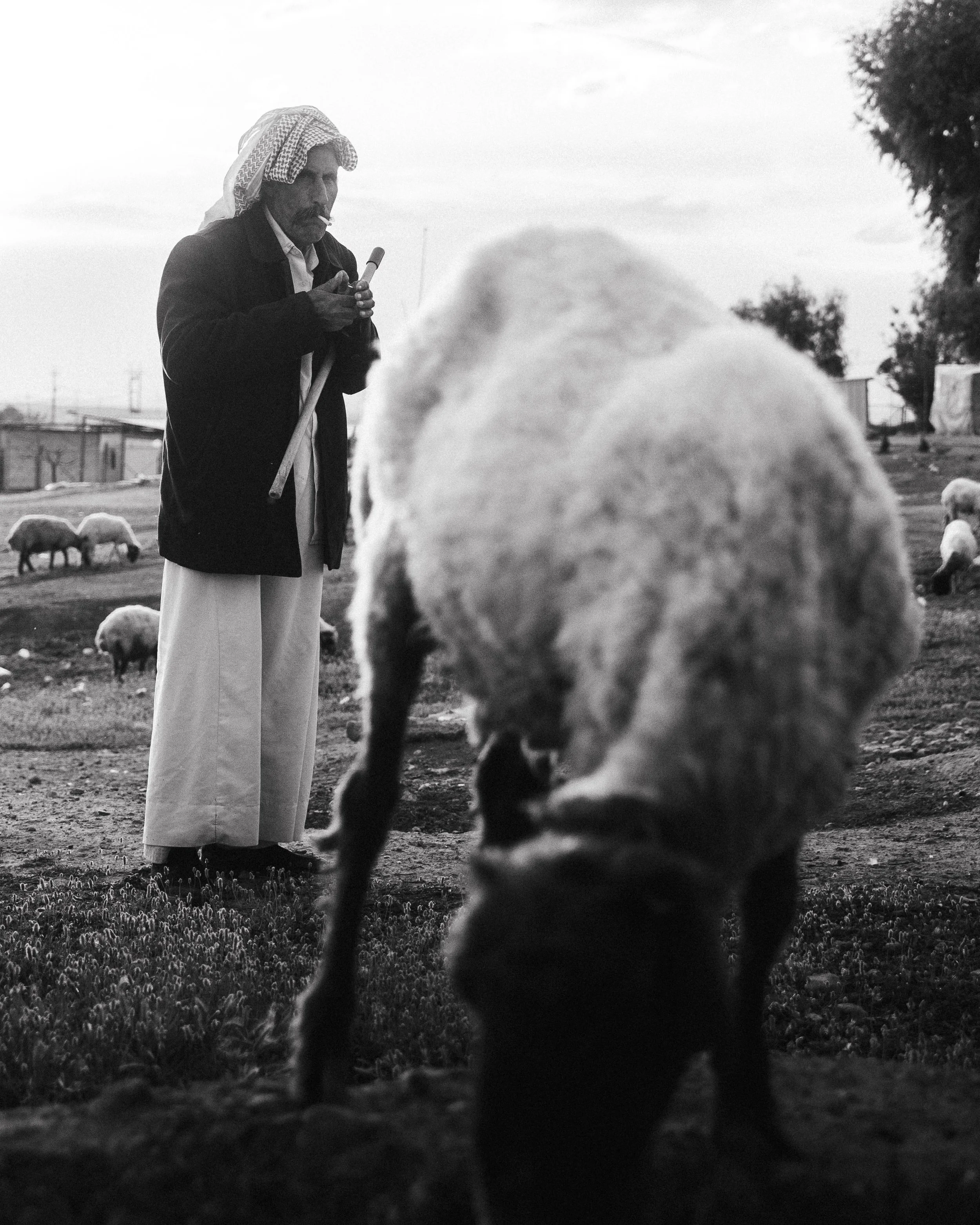 Irak_bearbeitet (74 von 114).jpg