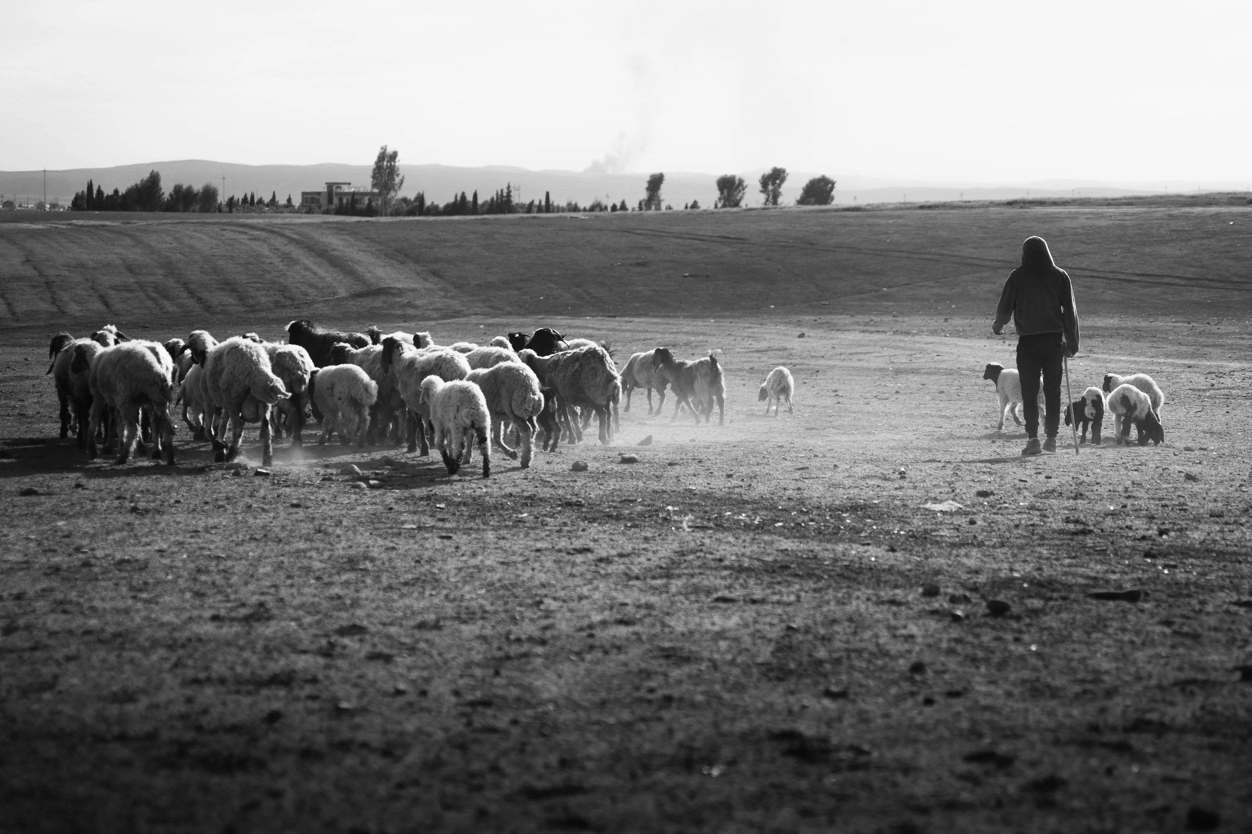 Irak_bearbeitet (23 von 114).jpg