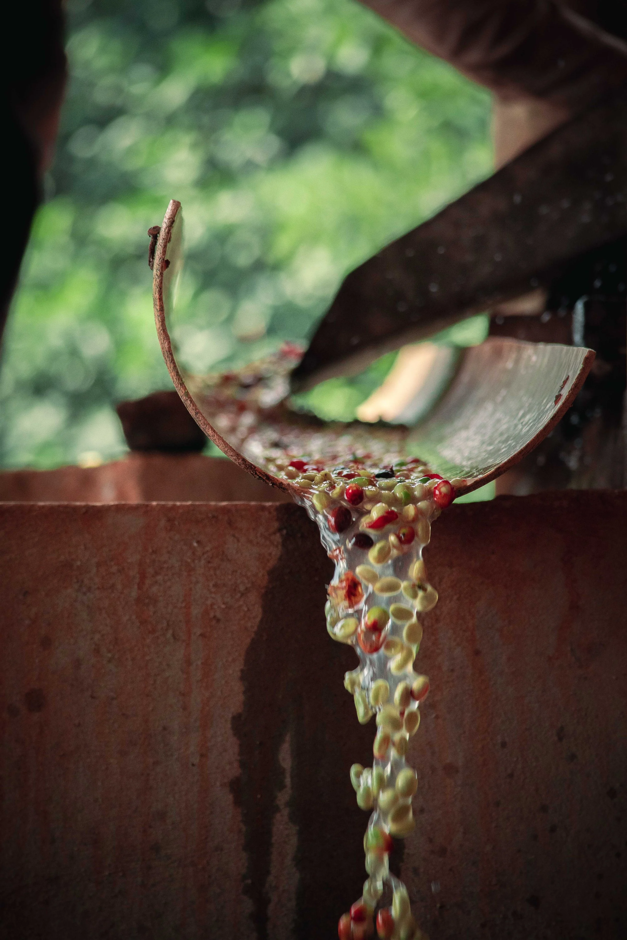 spaziergang (3 von 11).jpg