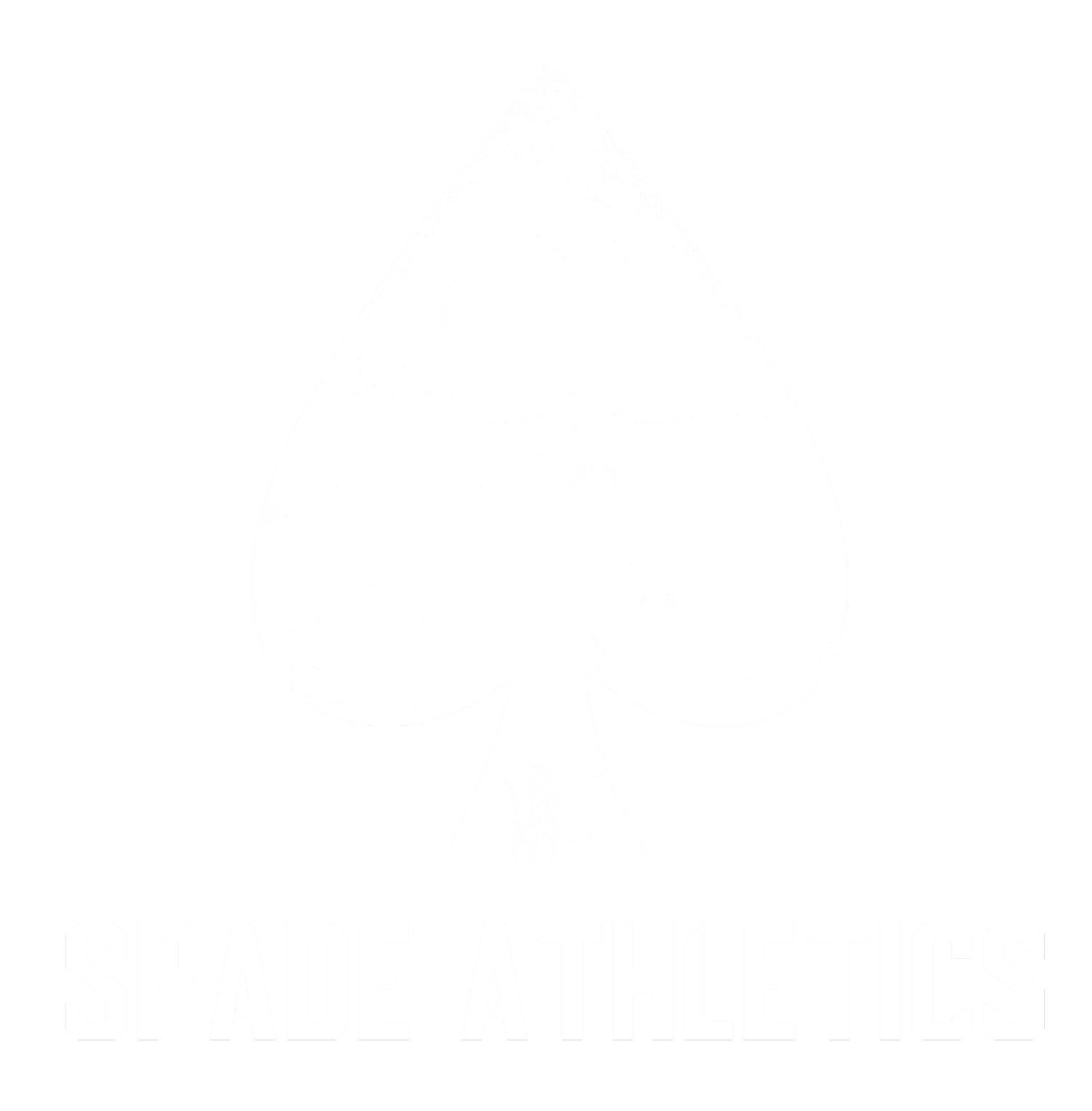 Train Spade