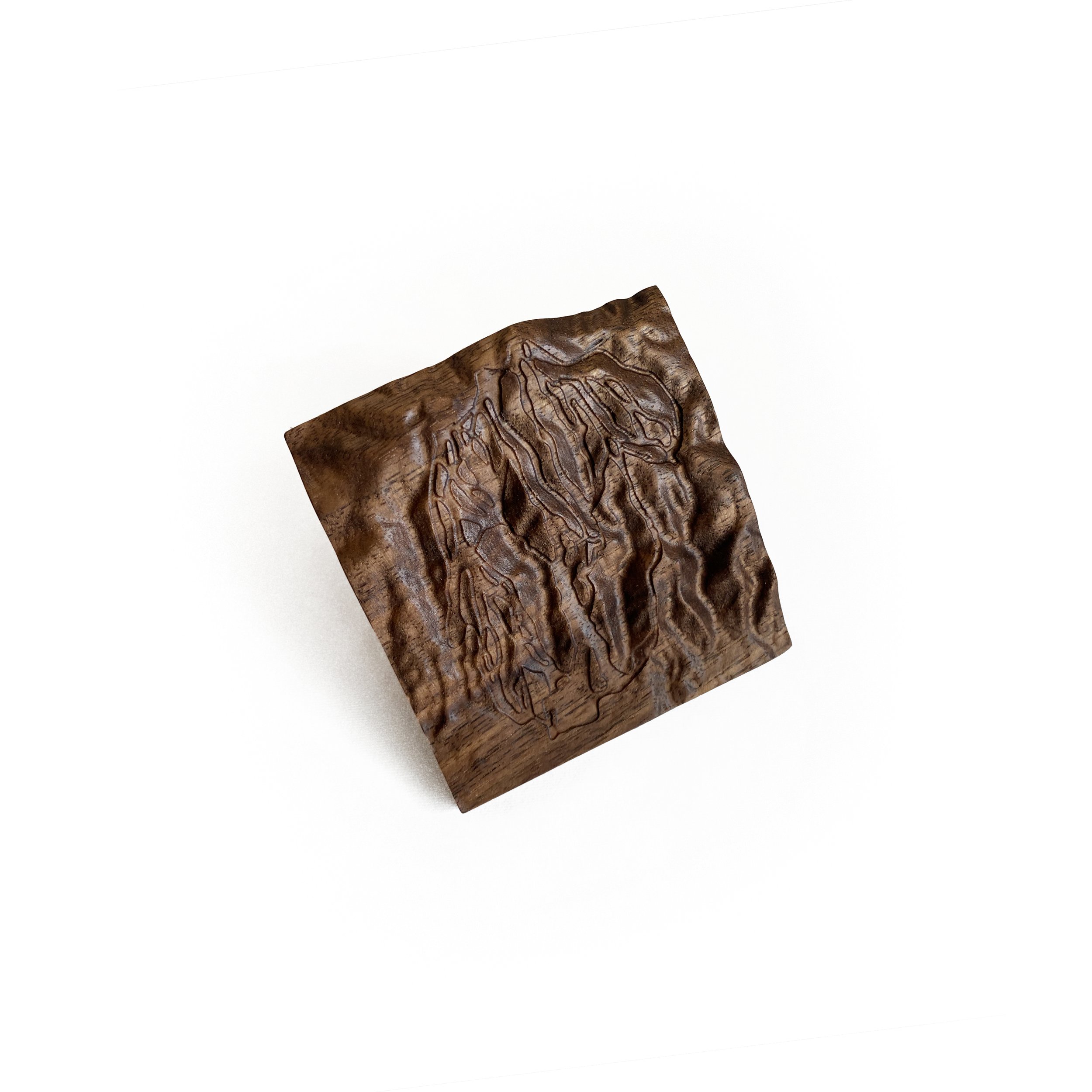 Snow Summit walnut v4.jpg