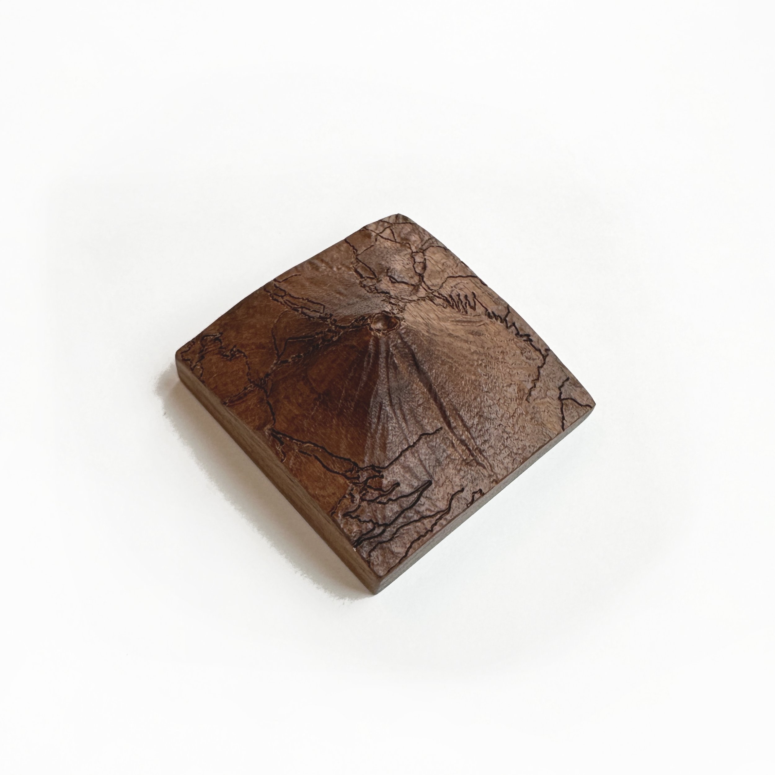 Fuji top walnut corner 2.jpg