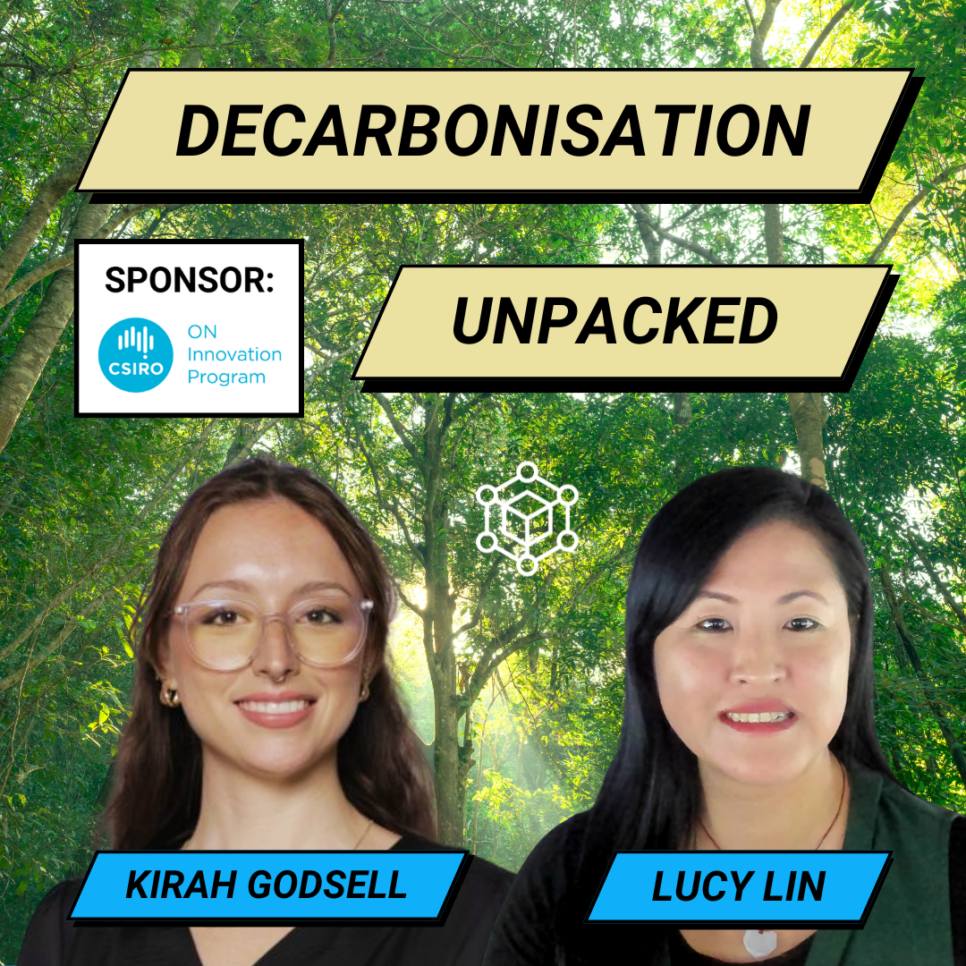 Decarbonisation with a Young Scientist