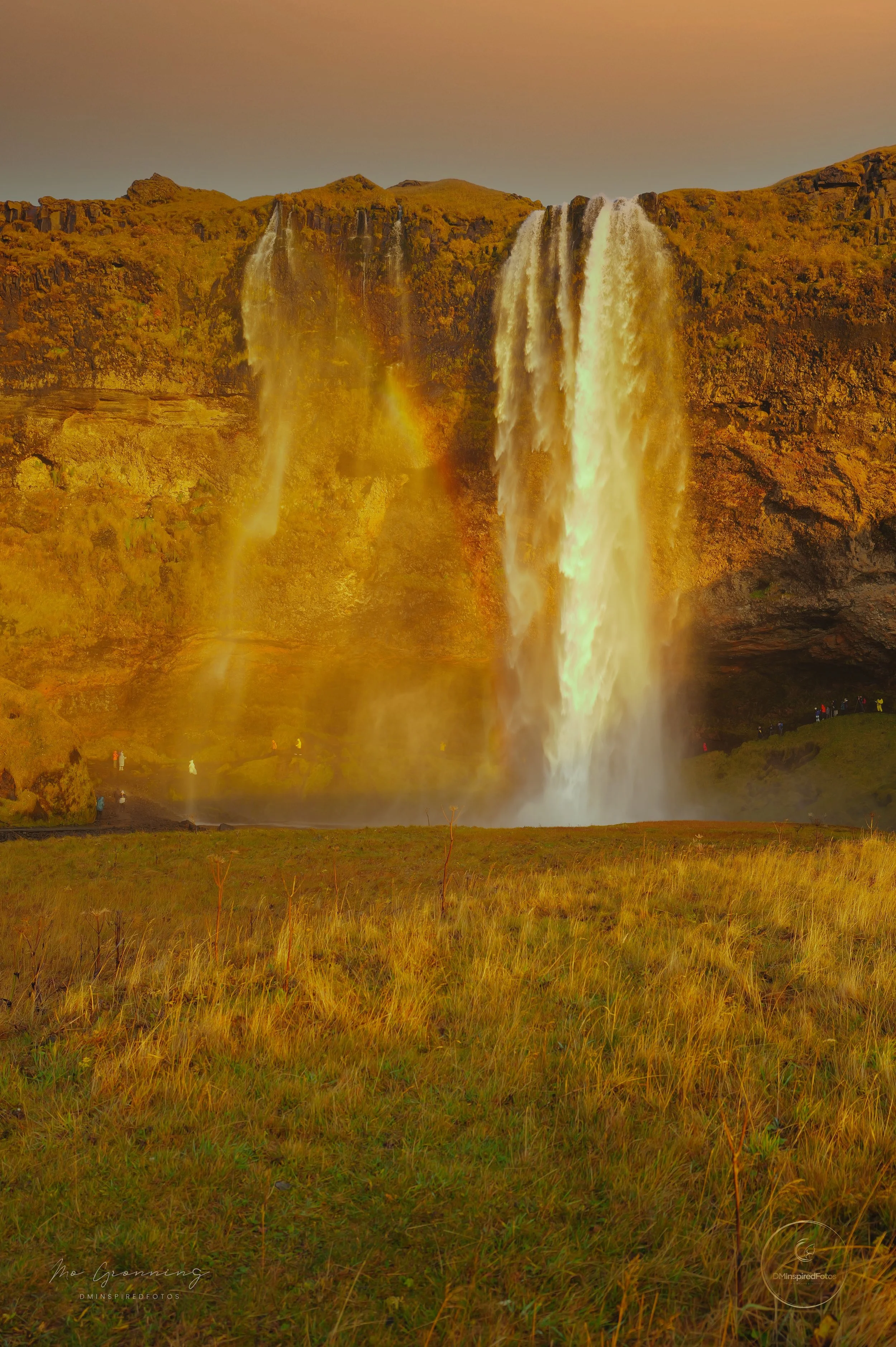 70E36DD9-3DD4-4C72-A1BB-0F5589F5DB79 2.jpeg