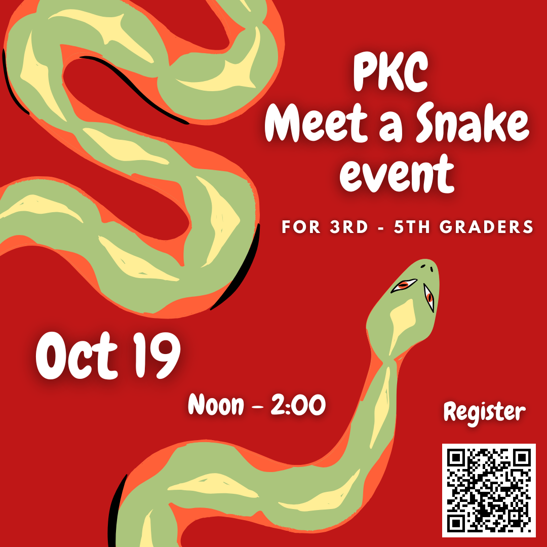 PKC Meet a Snake