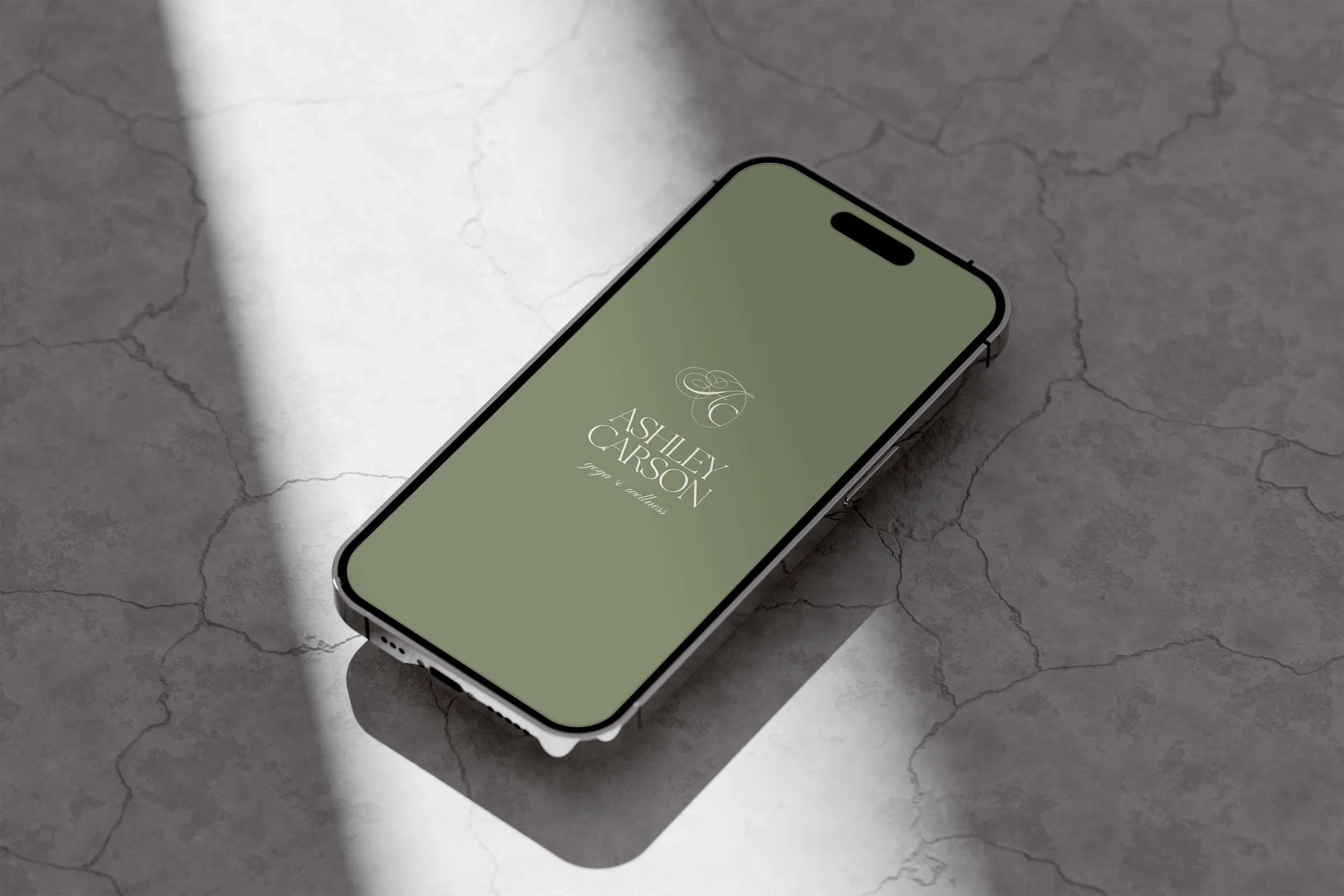04 Free 14 Iphone Pro Mockup.jpg