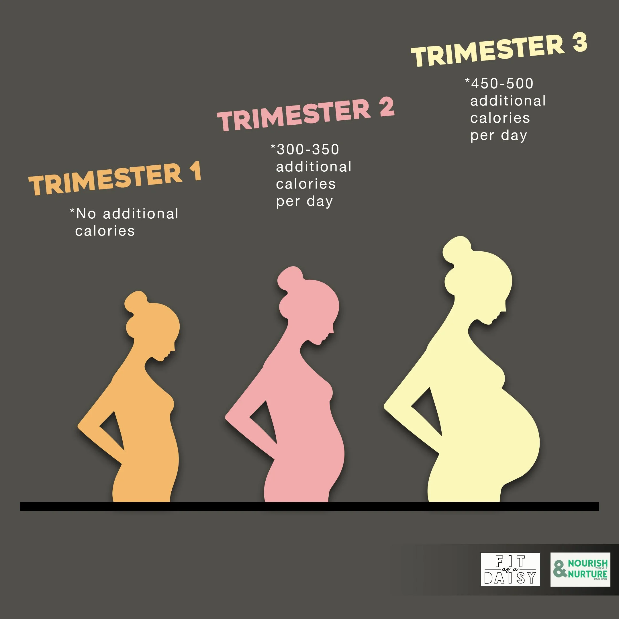 Pregnancy Macronutrients Diet Healthy Trimester Calories Eating For Two