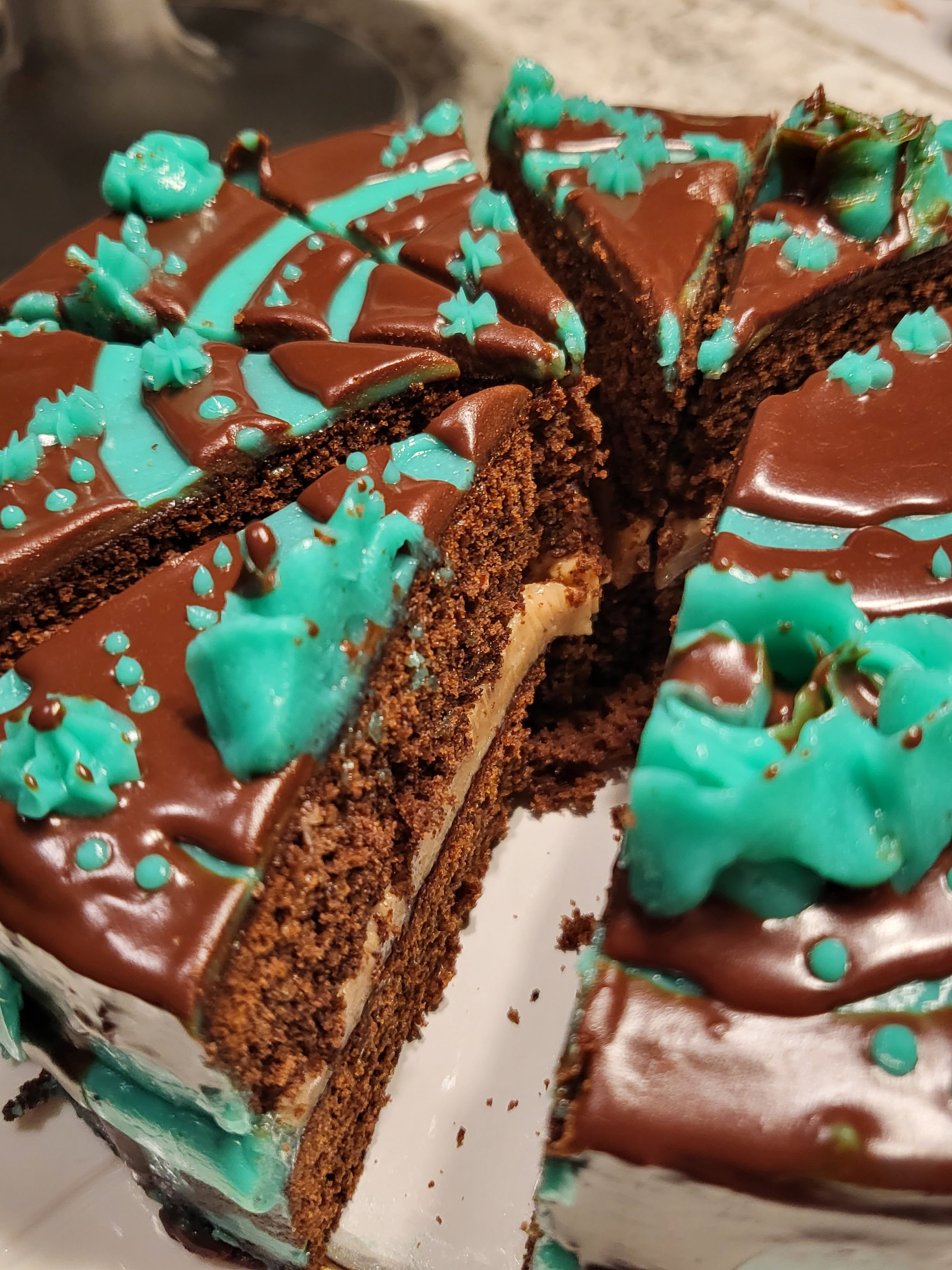 Mint + Chocolate Ganache Cake