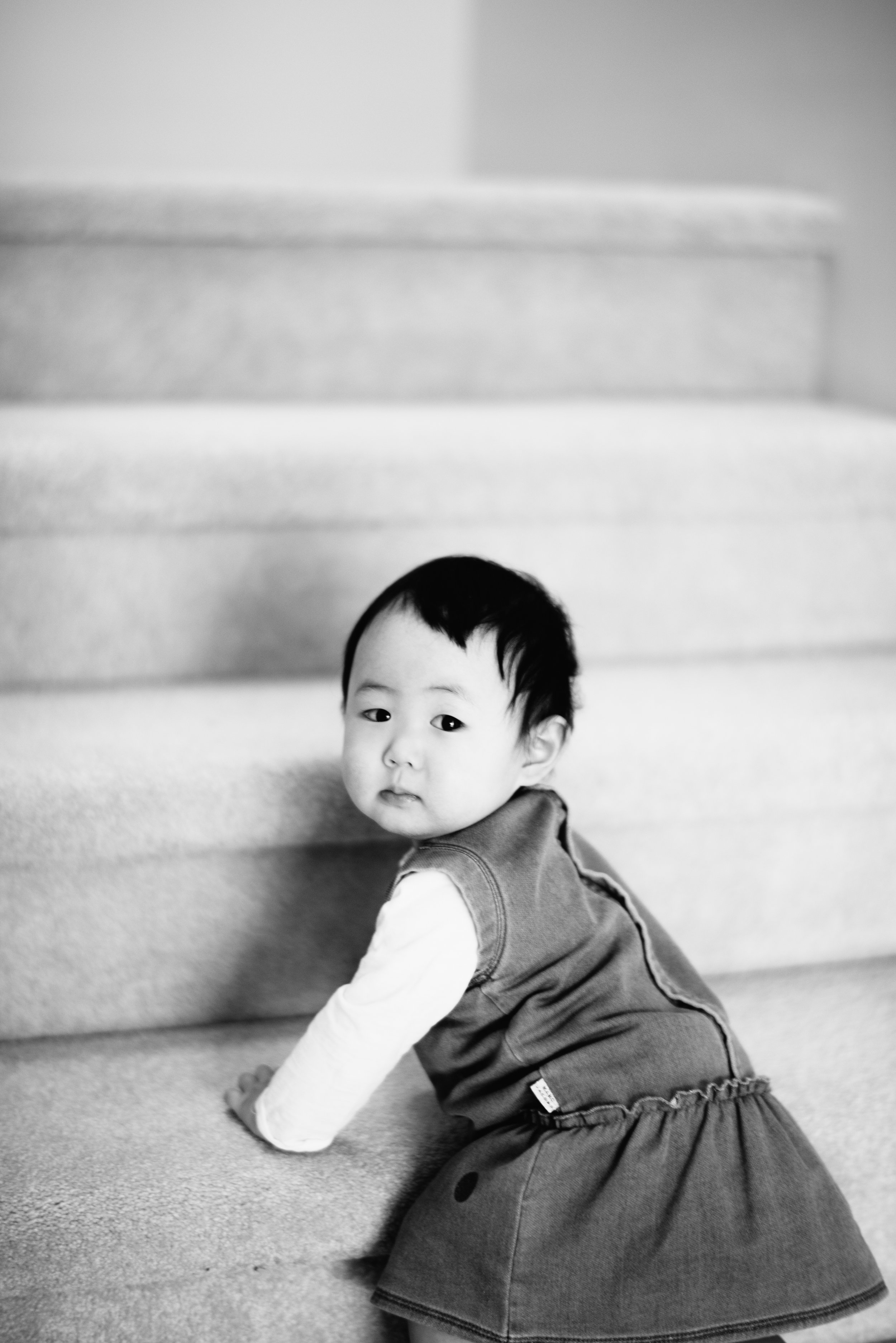DSC_2431-2.jpg