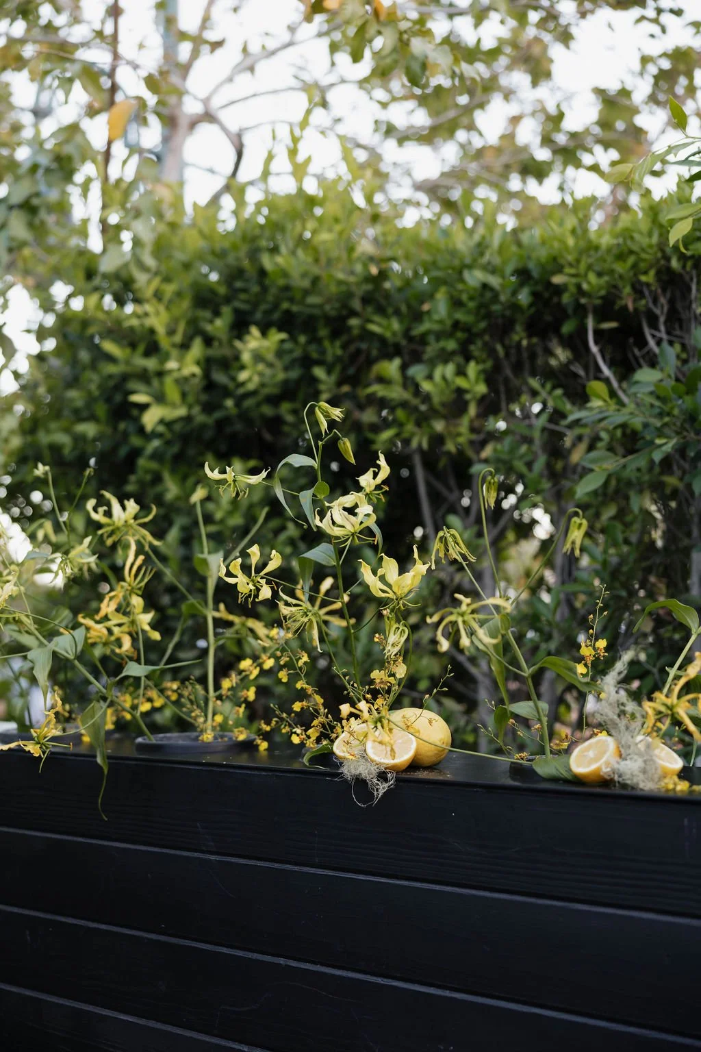 California Wedding Planner