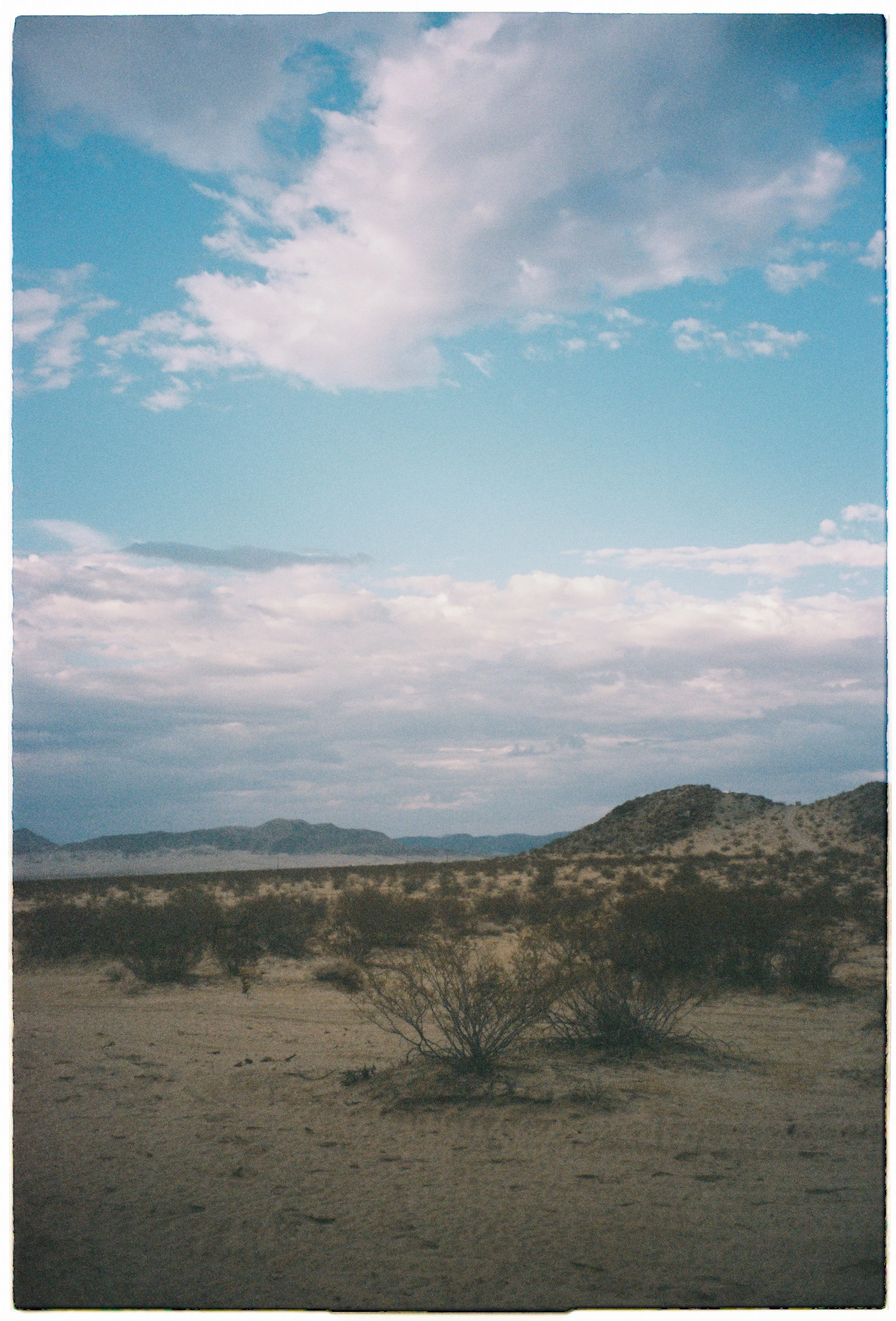 Best Wedding Planner