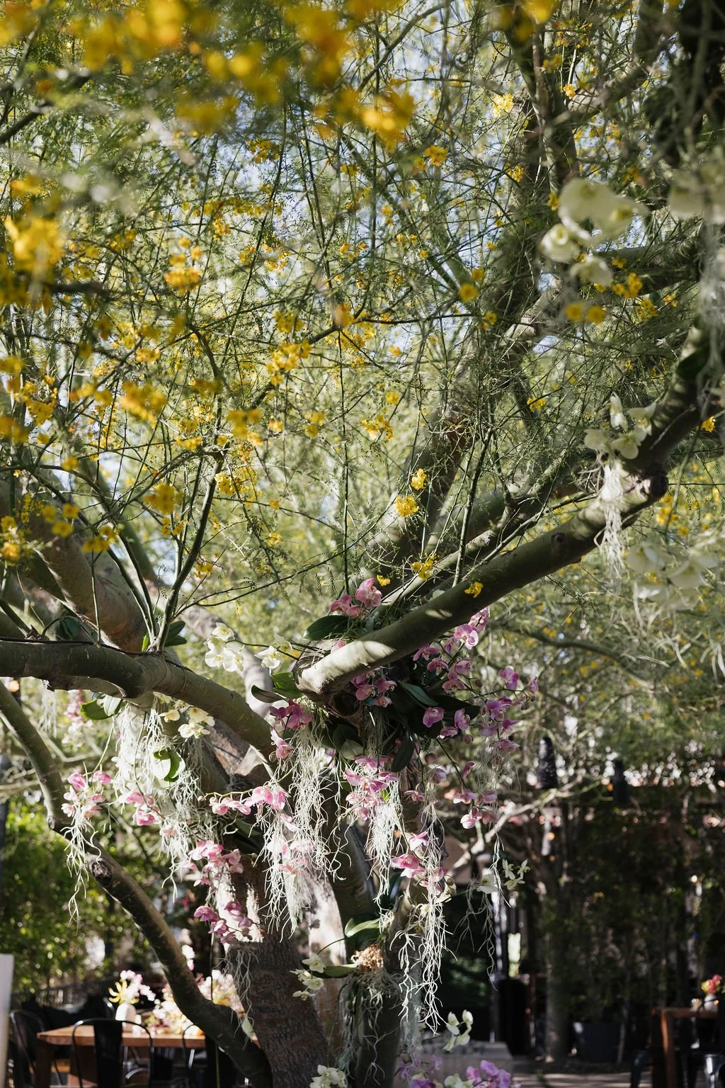 Luxury Wedding Planner