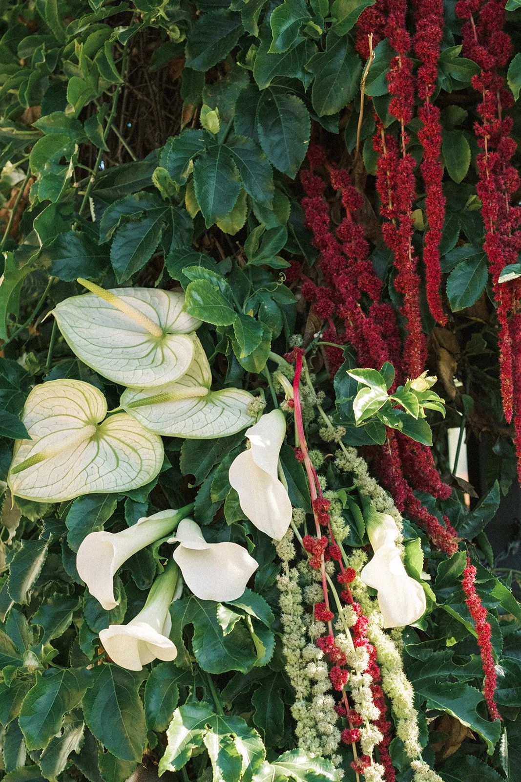 Floral installation at a private estate wedding in Los Angeles.