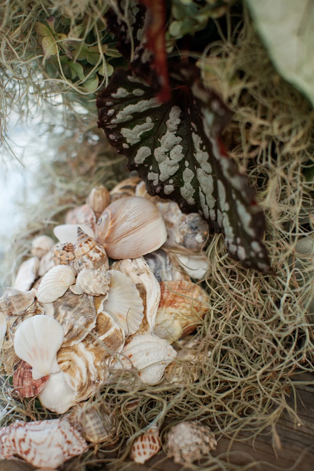 Coastal-inspired wedding detail with shells and organic textures.