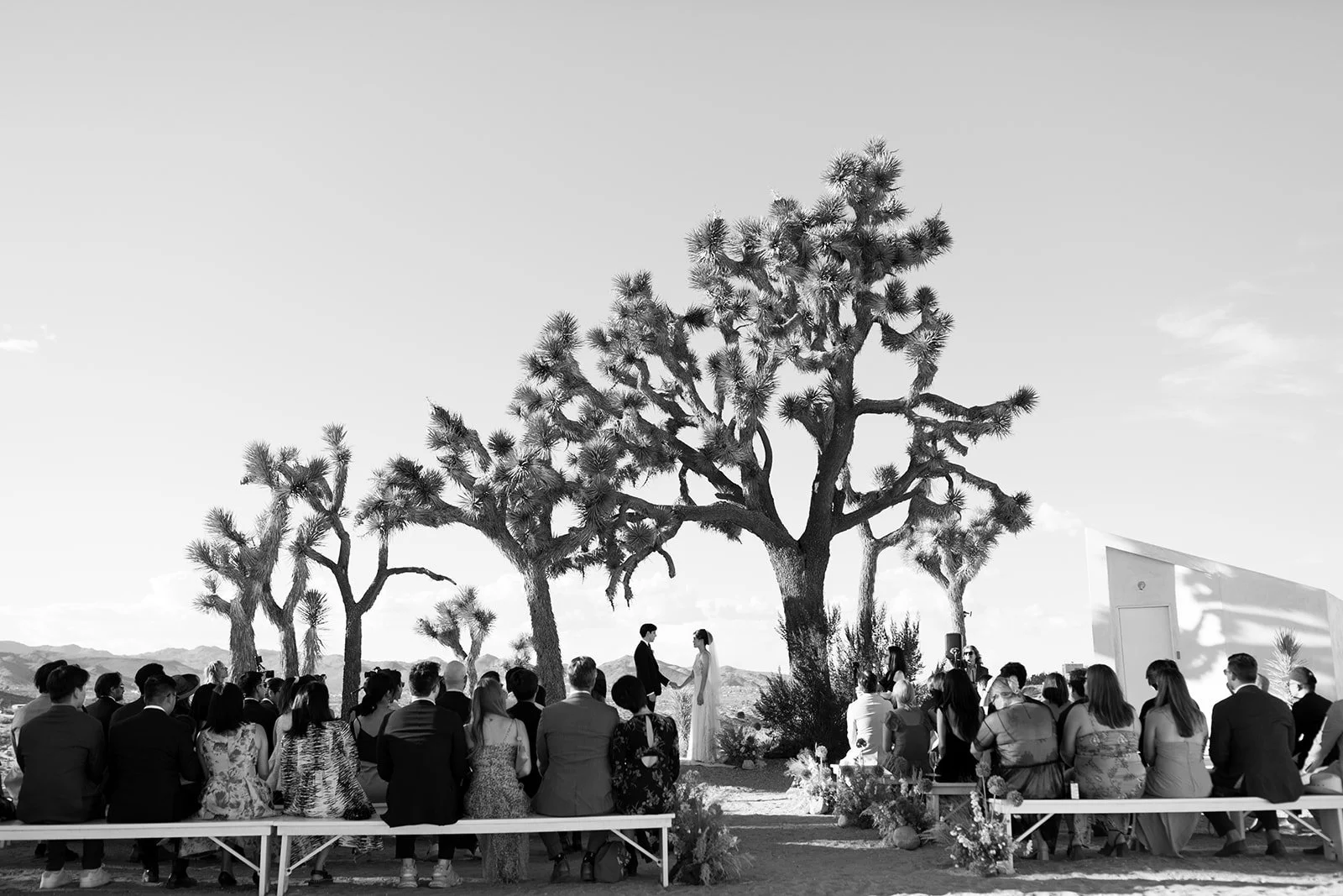 joshua-tree-destination-wedding-planner-11.jpg