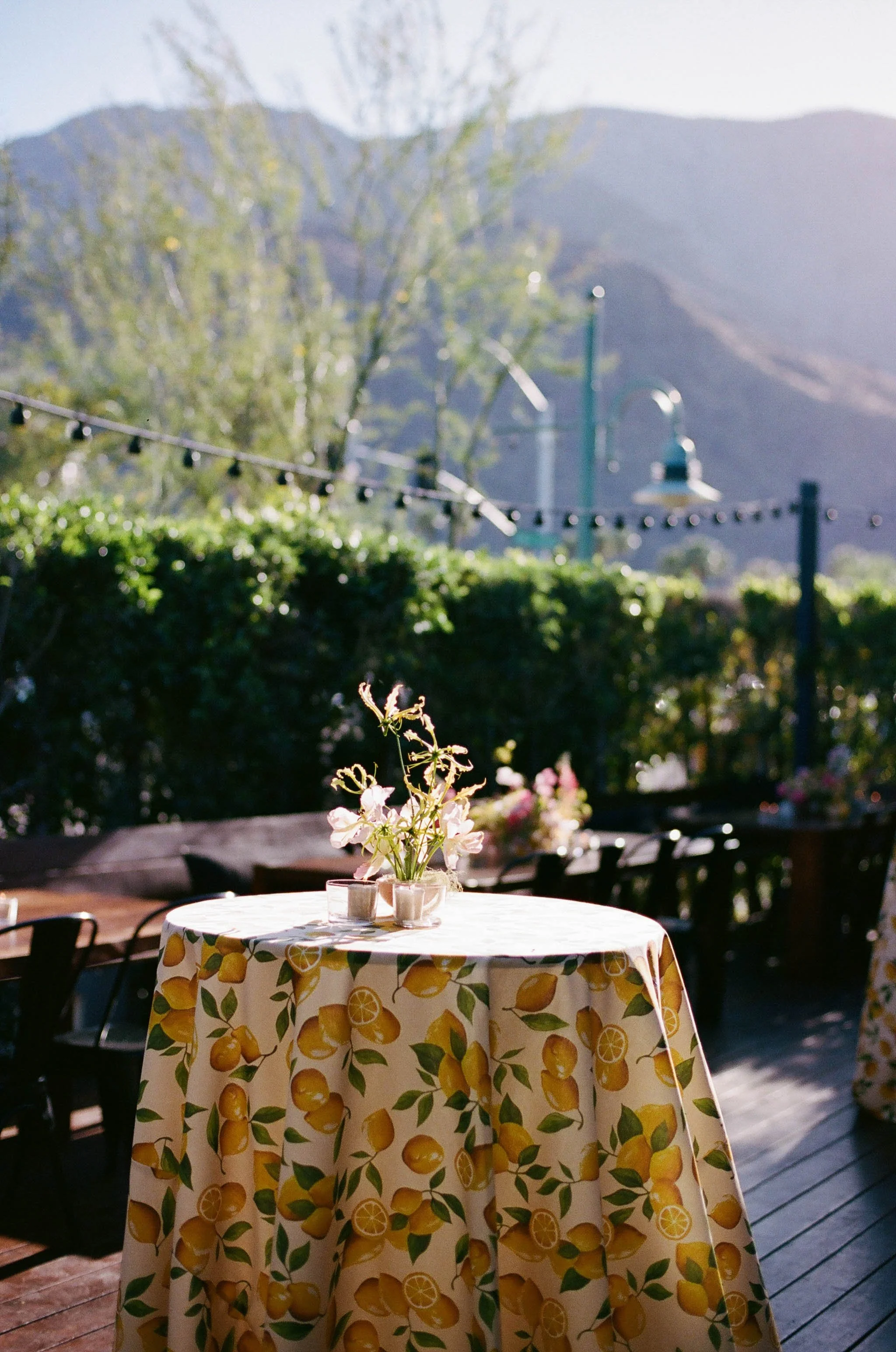 Celebrity Wedding Planner