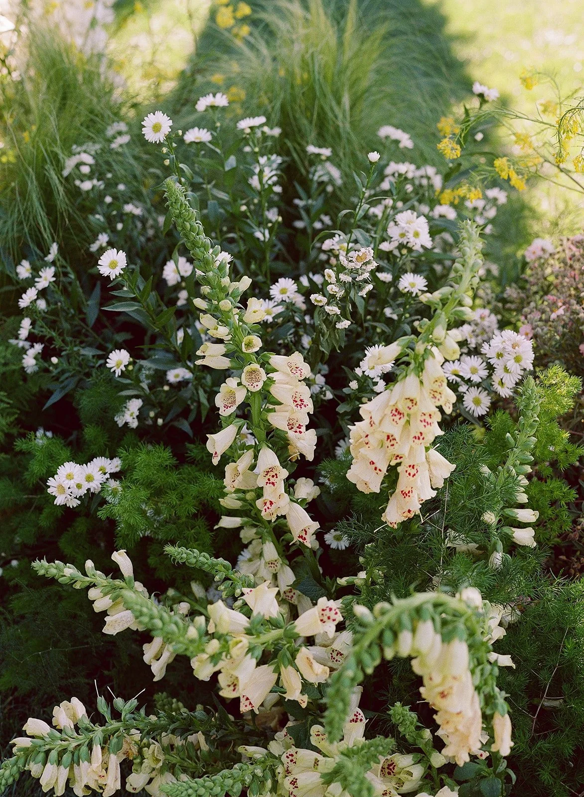 cedarandpines-nicole-lee-wedding-621 copy.jpg