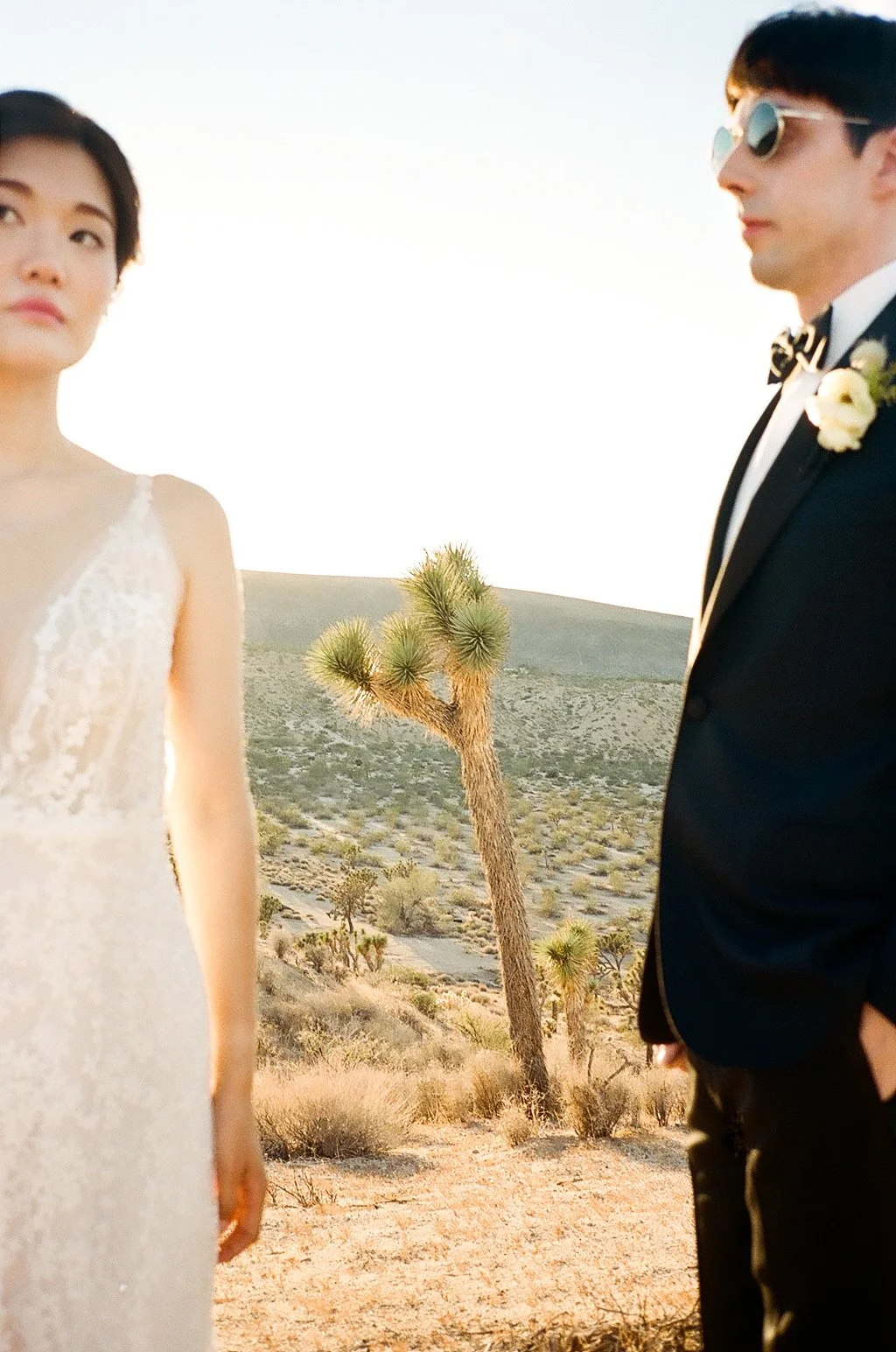 joshua-tree-wedding-planner-5.jpg