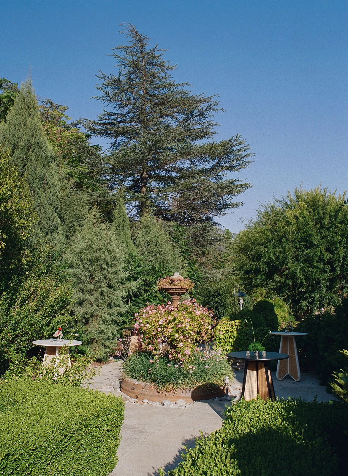 ivy-manor-wedding-film-101.jpg
