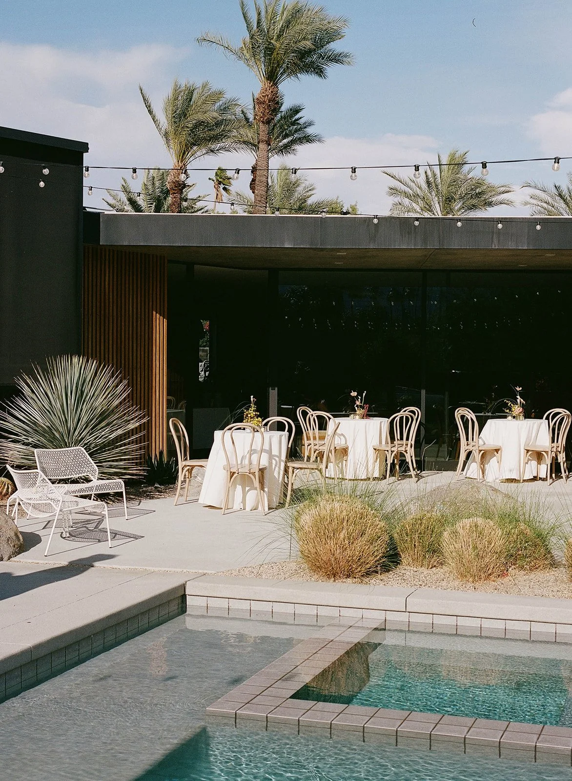 NIKKISTREKOWSKIPHOTO_LEE&DANIEL_PALMSPRINGS_FILM-340.jpg