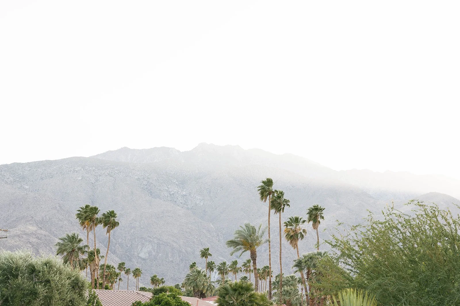 palm-springs-wedding-planner-14.jpg